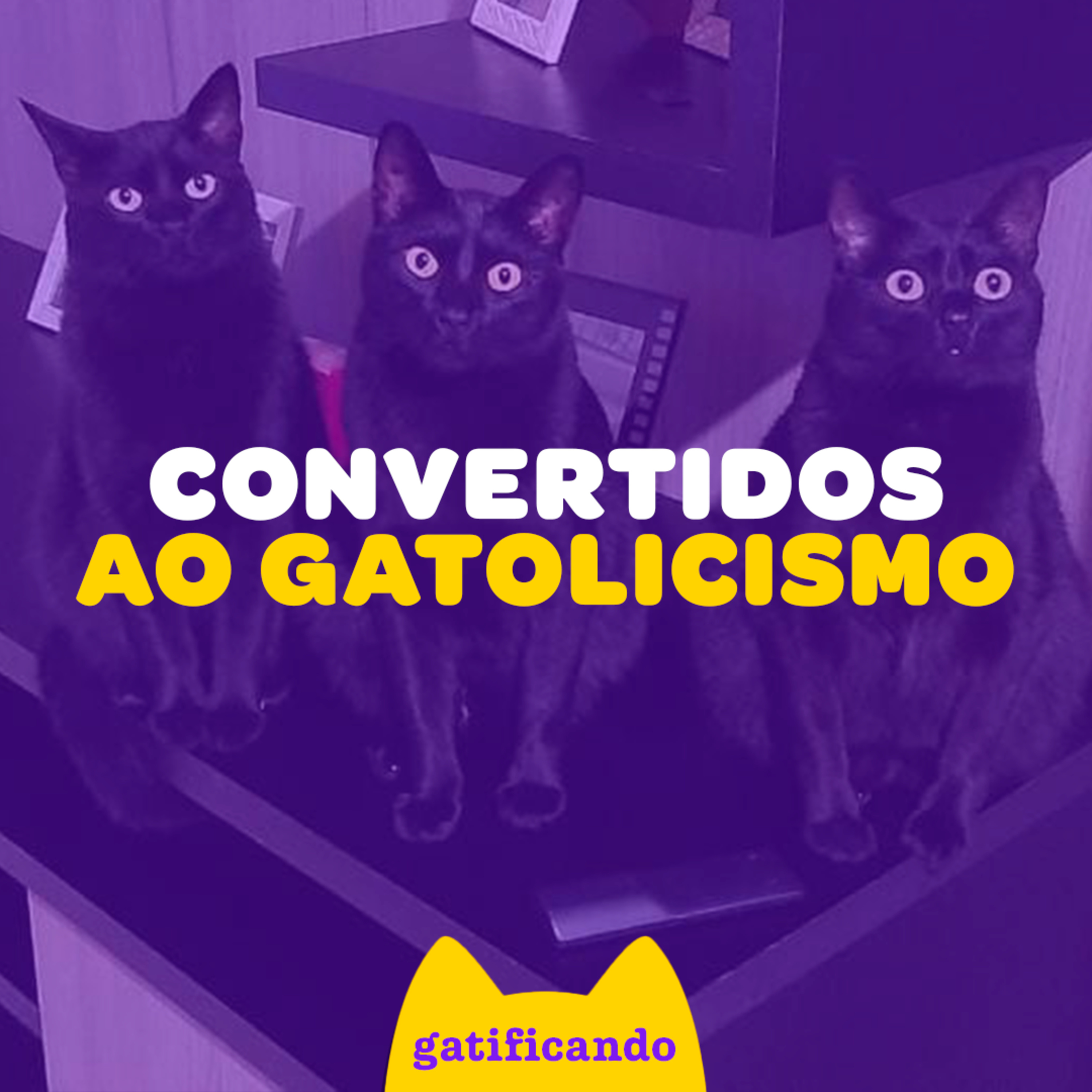 Gatificando