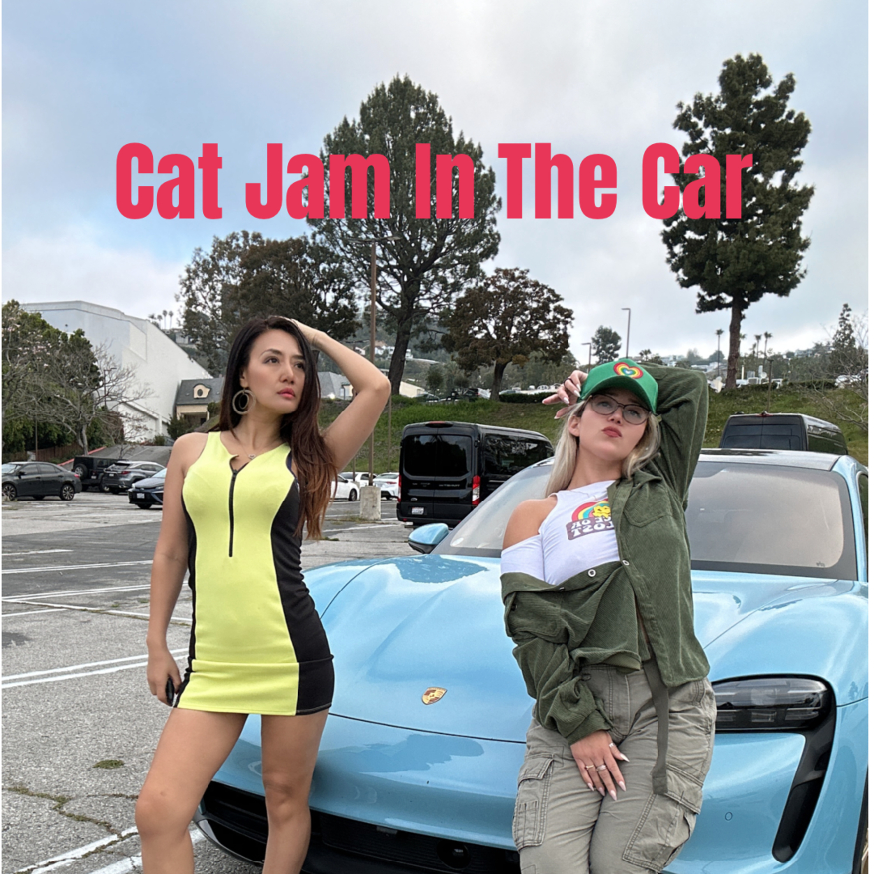 Cat Jam In The Car