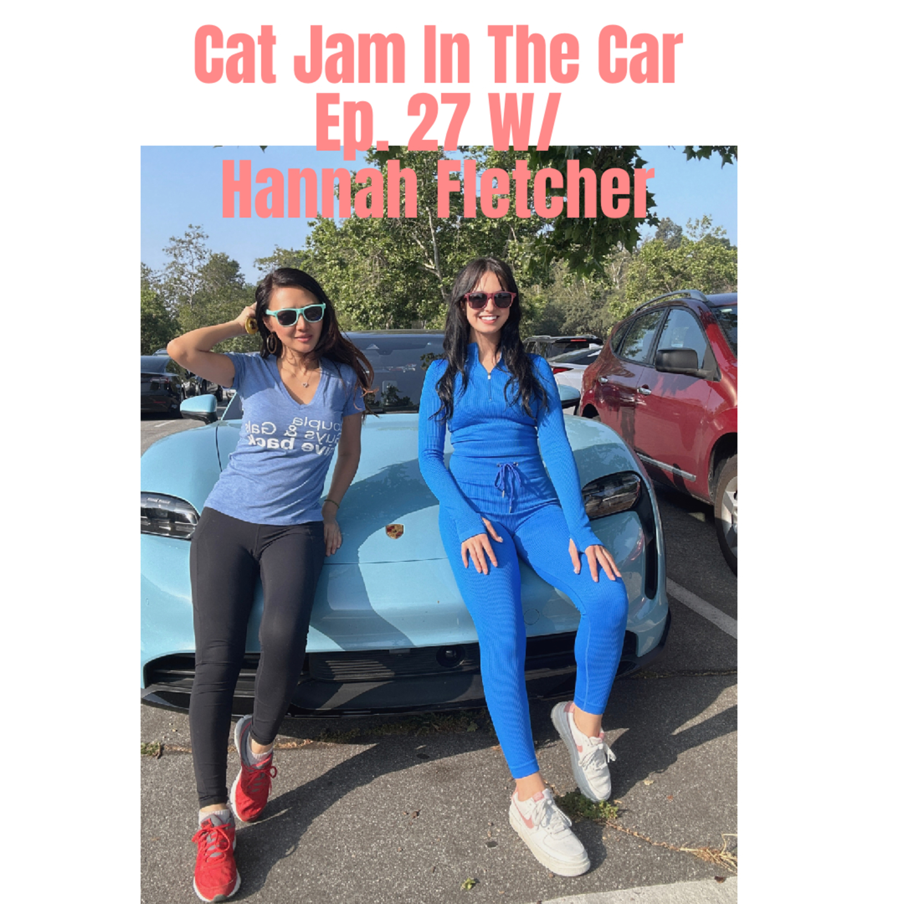 Cat Jam In The Car
