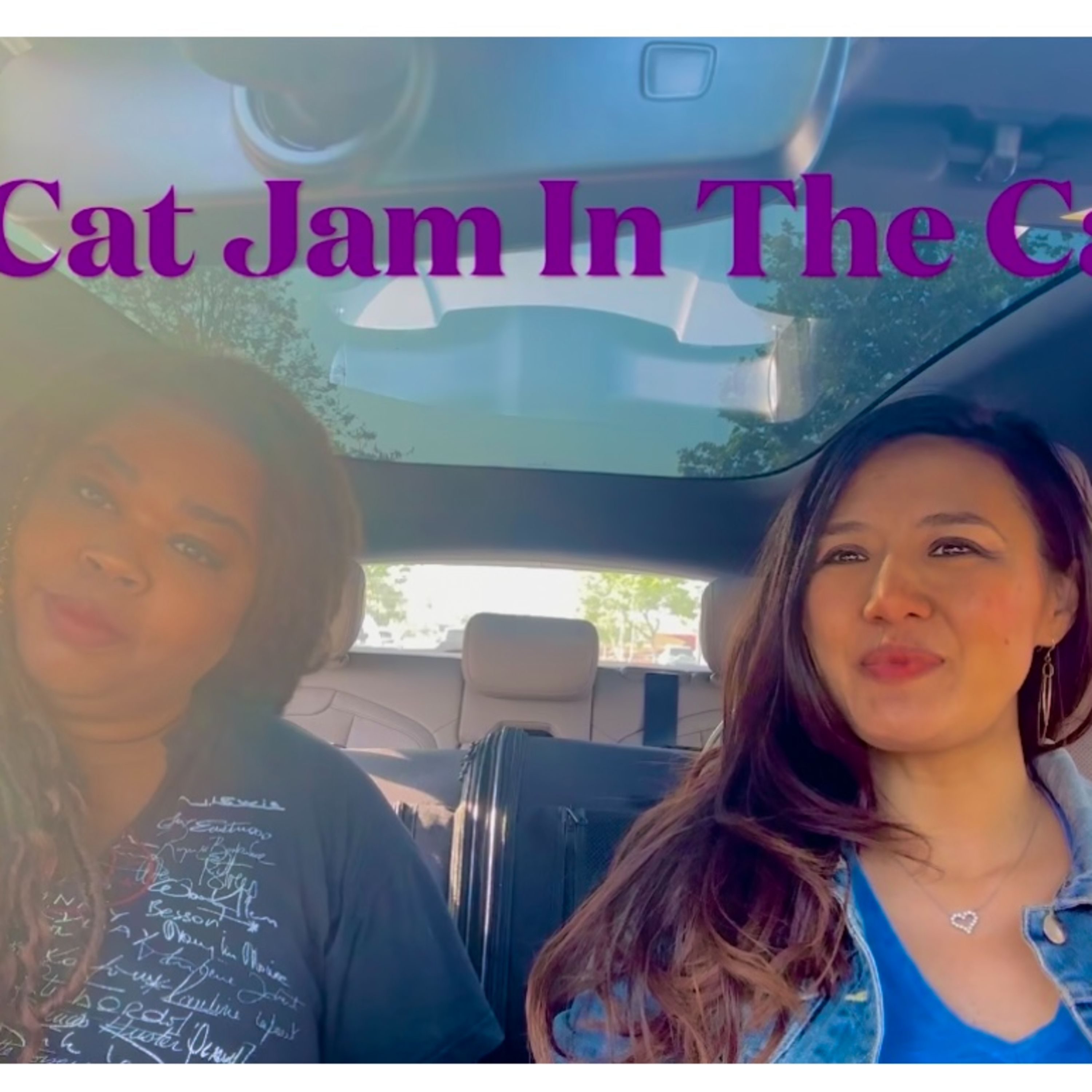 Ep.28 Cat Jam In The Car w/ comedian Veronica Brown  episode artwork