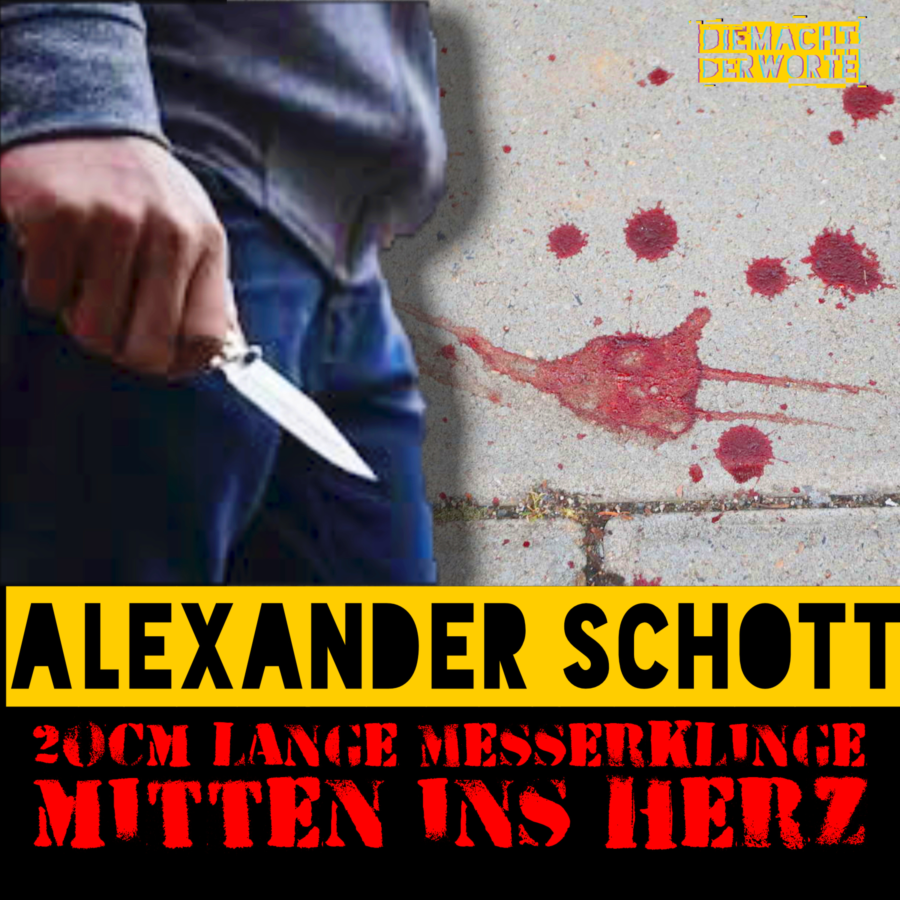 Messerattacke gegen Alexander Schott / Dein Leben wird gesehen (Harold Koch) / Spenden aber wann? / der Mann versorgt?! (Jens Widdra) episode artwork