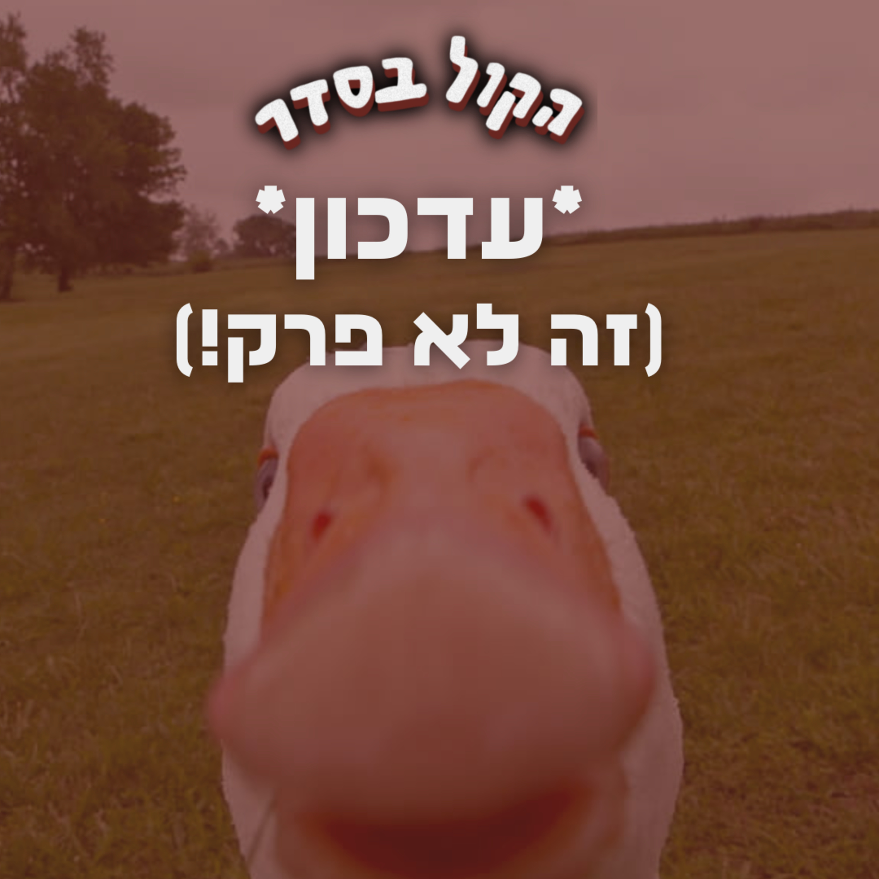 ✺ עדכון ✺ episode artwork