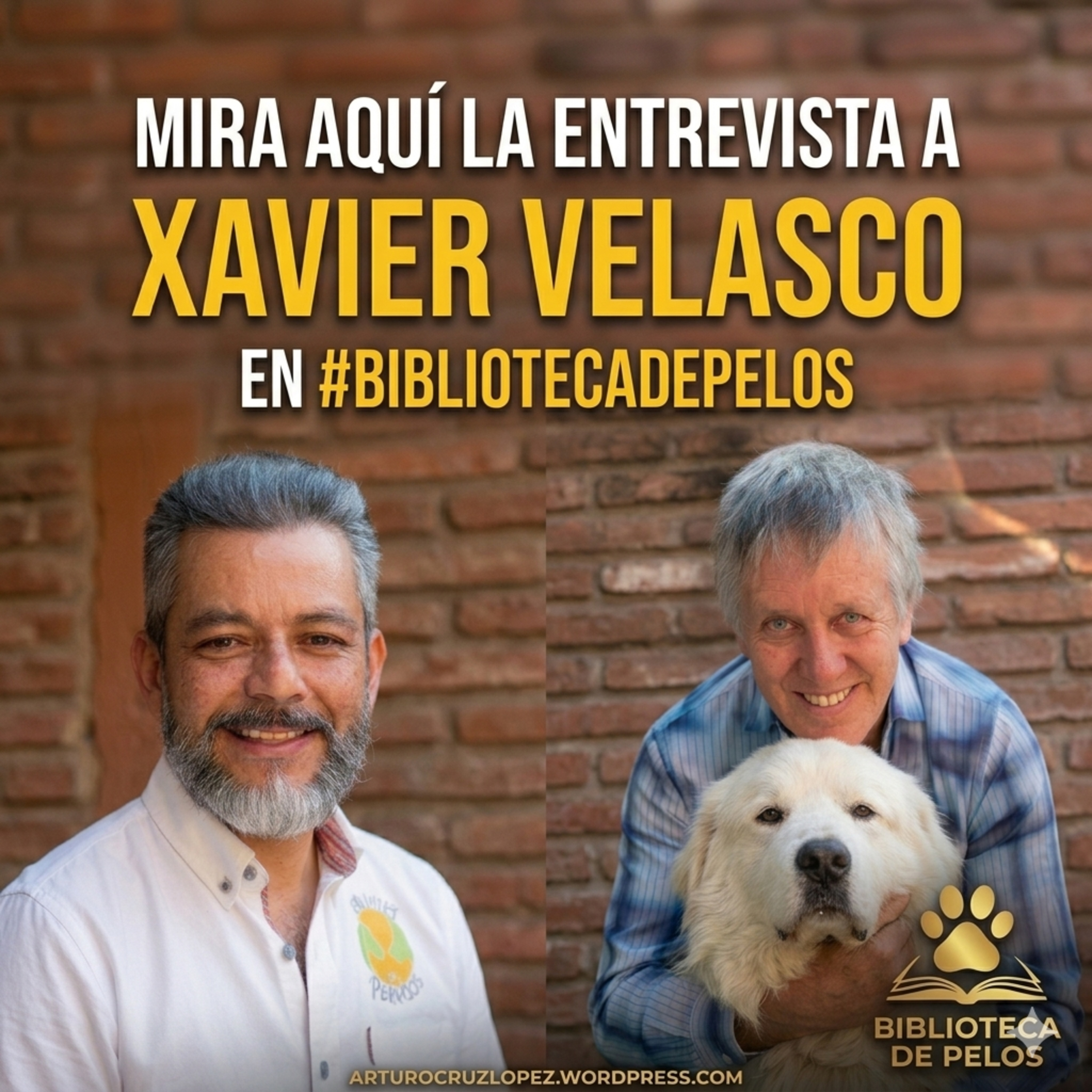 ENTREVISTA A XAVIER VELASCO | SU VIDA, OBRA Y SUS PERROS. episode artwork