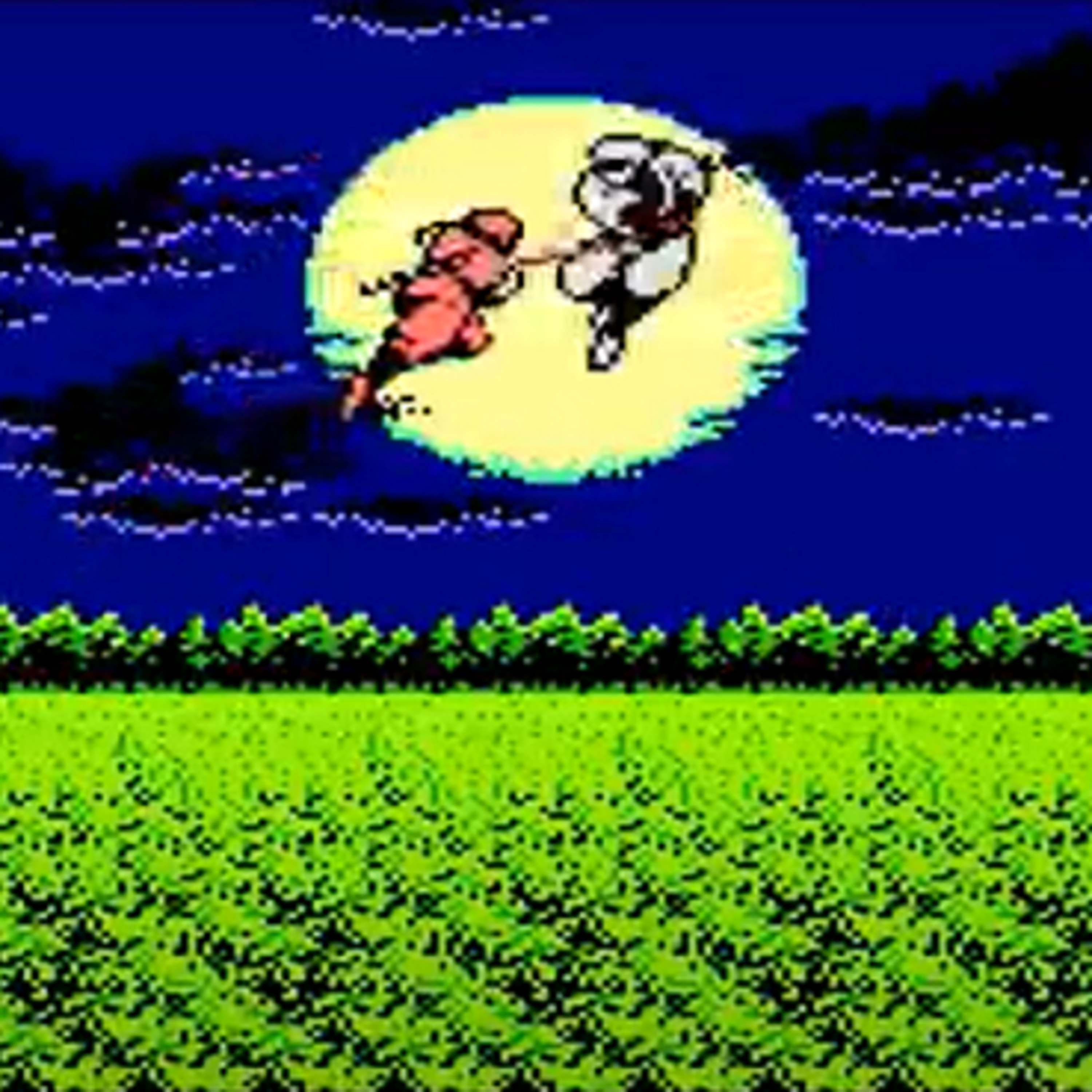 Absolute Nintendo - Ninja Gaiden on NES