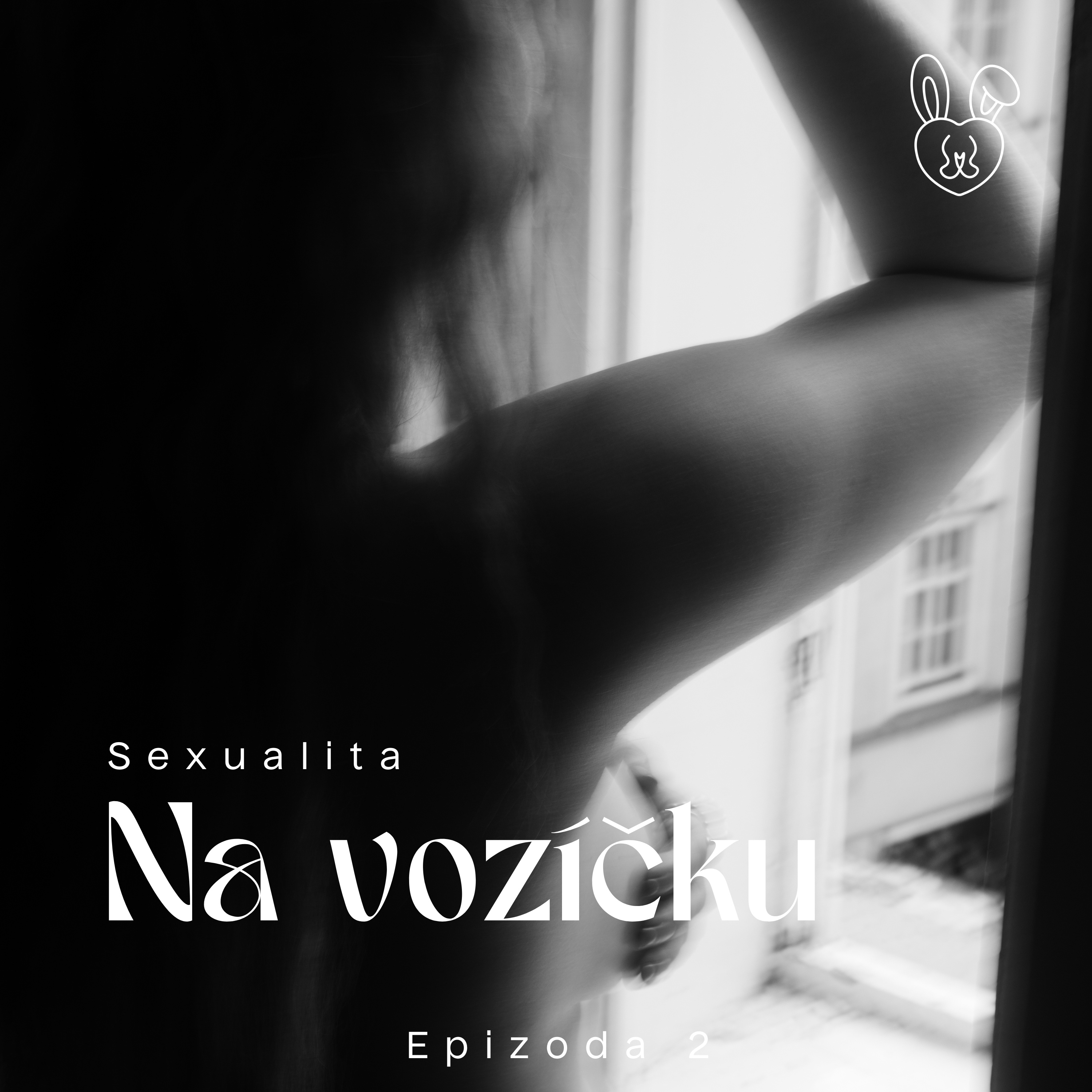 Sexualita na vozíčku episode artwork