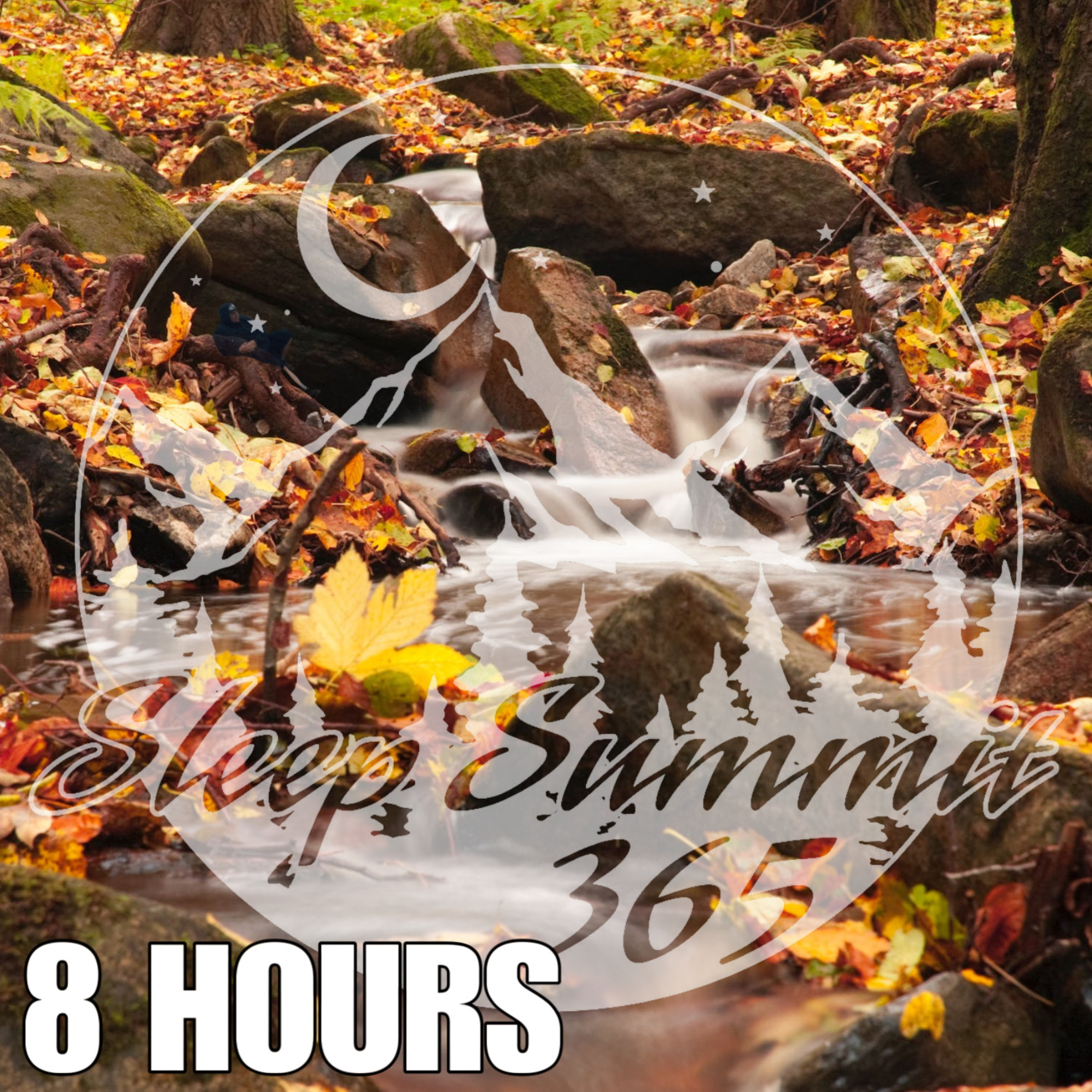 Sleep Summit 3 65 podcast cover