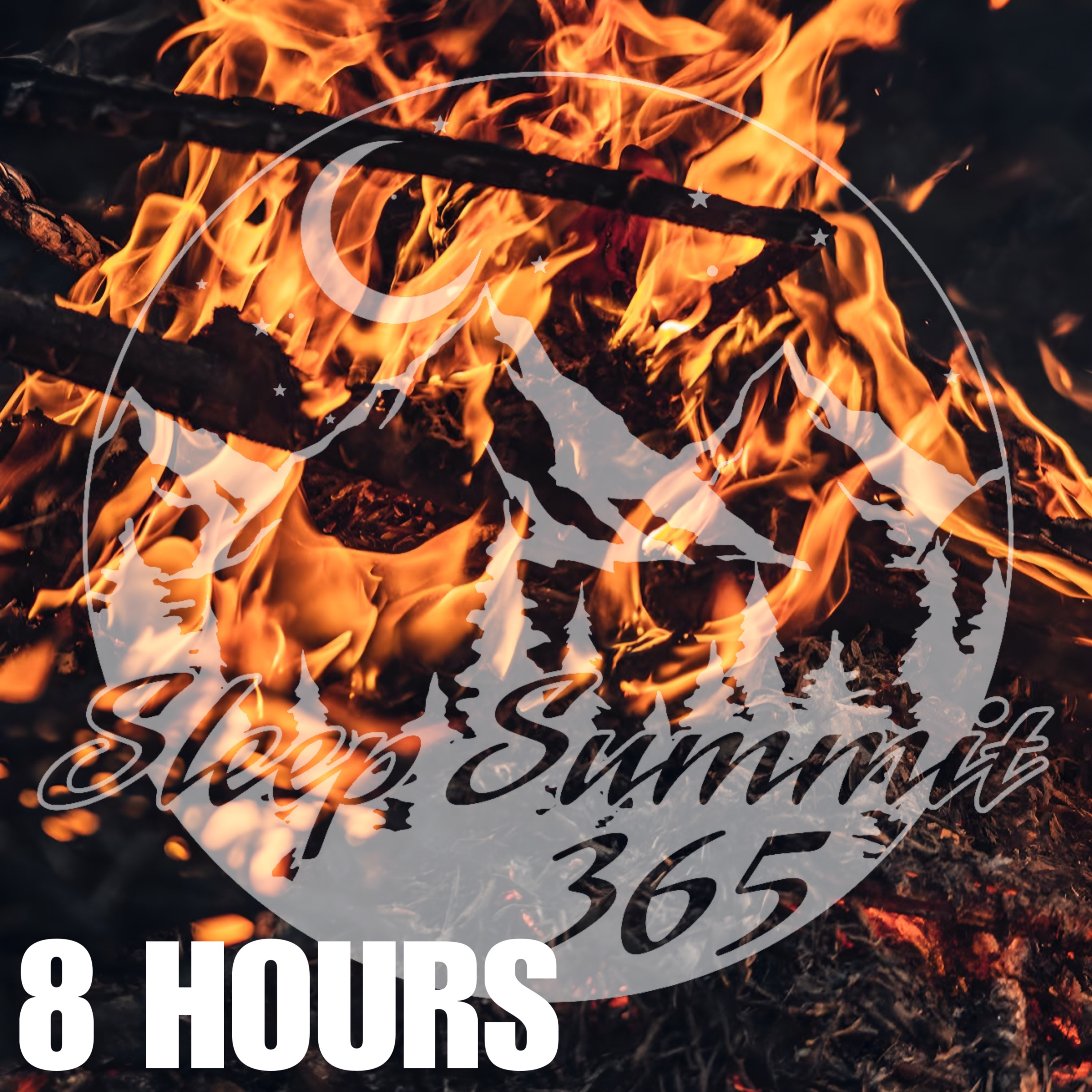 Sleep Summit 3 65 podcast cover