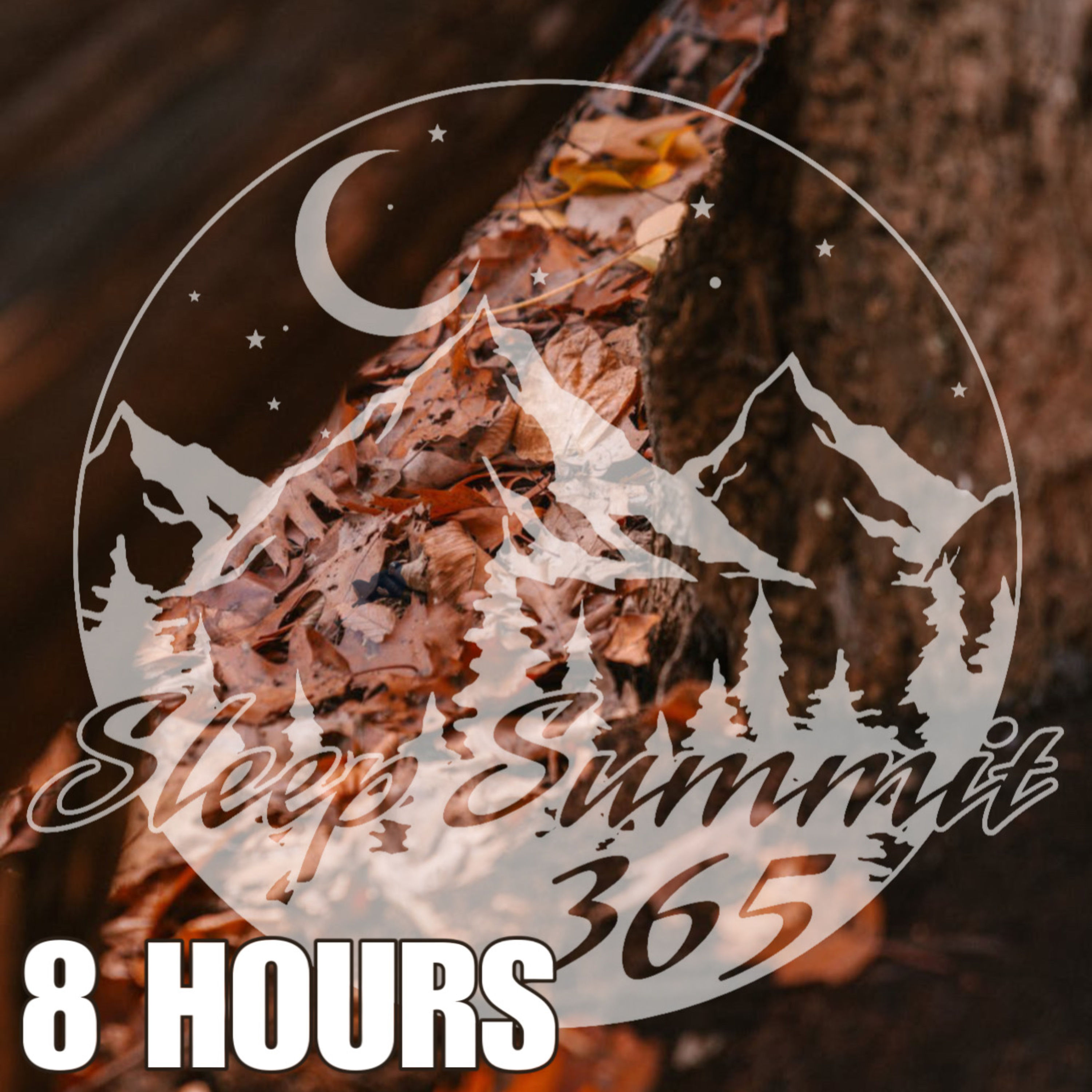 Sleep Summit 3 65 podcast cover