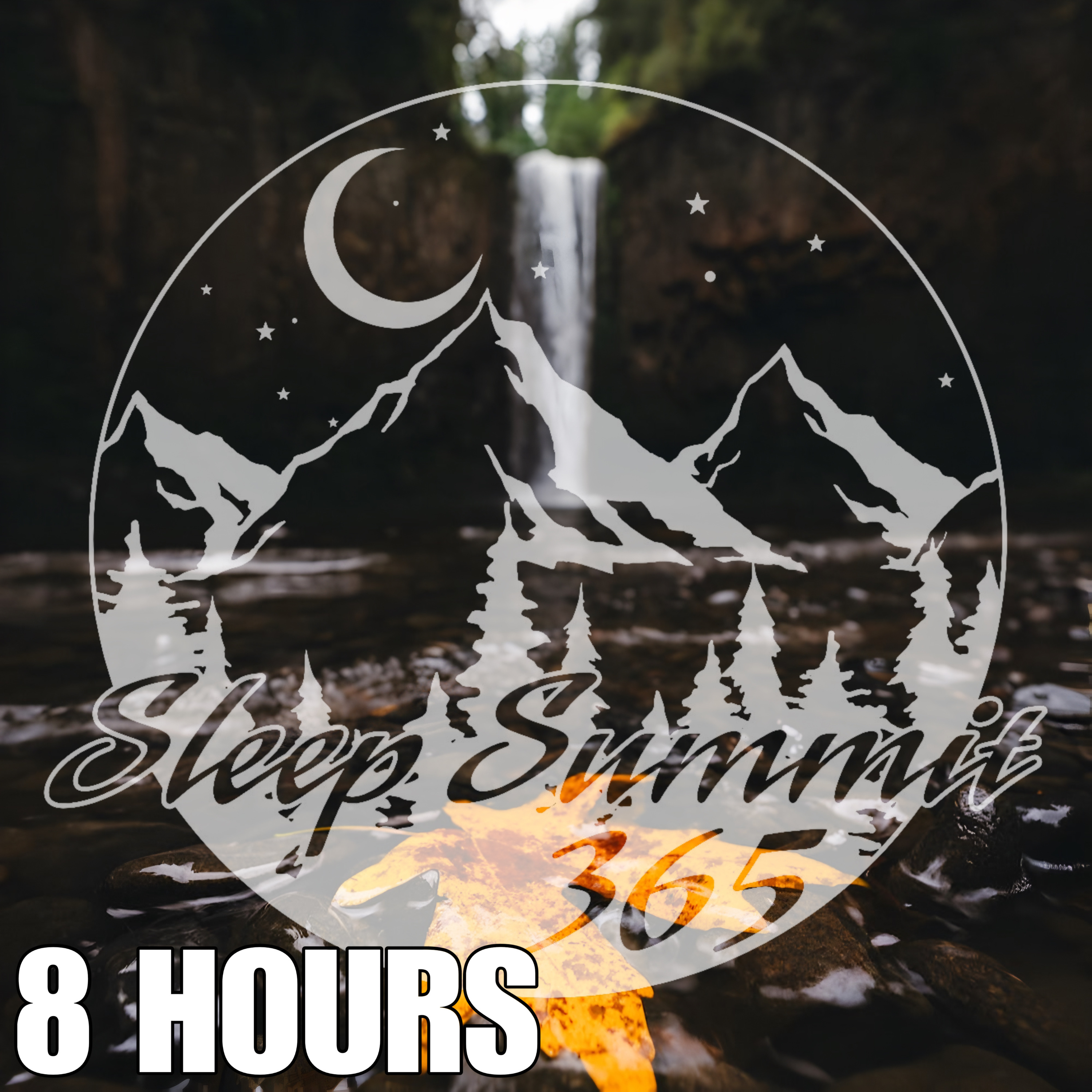 Sleep Summit 3 65 podcast cover
