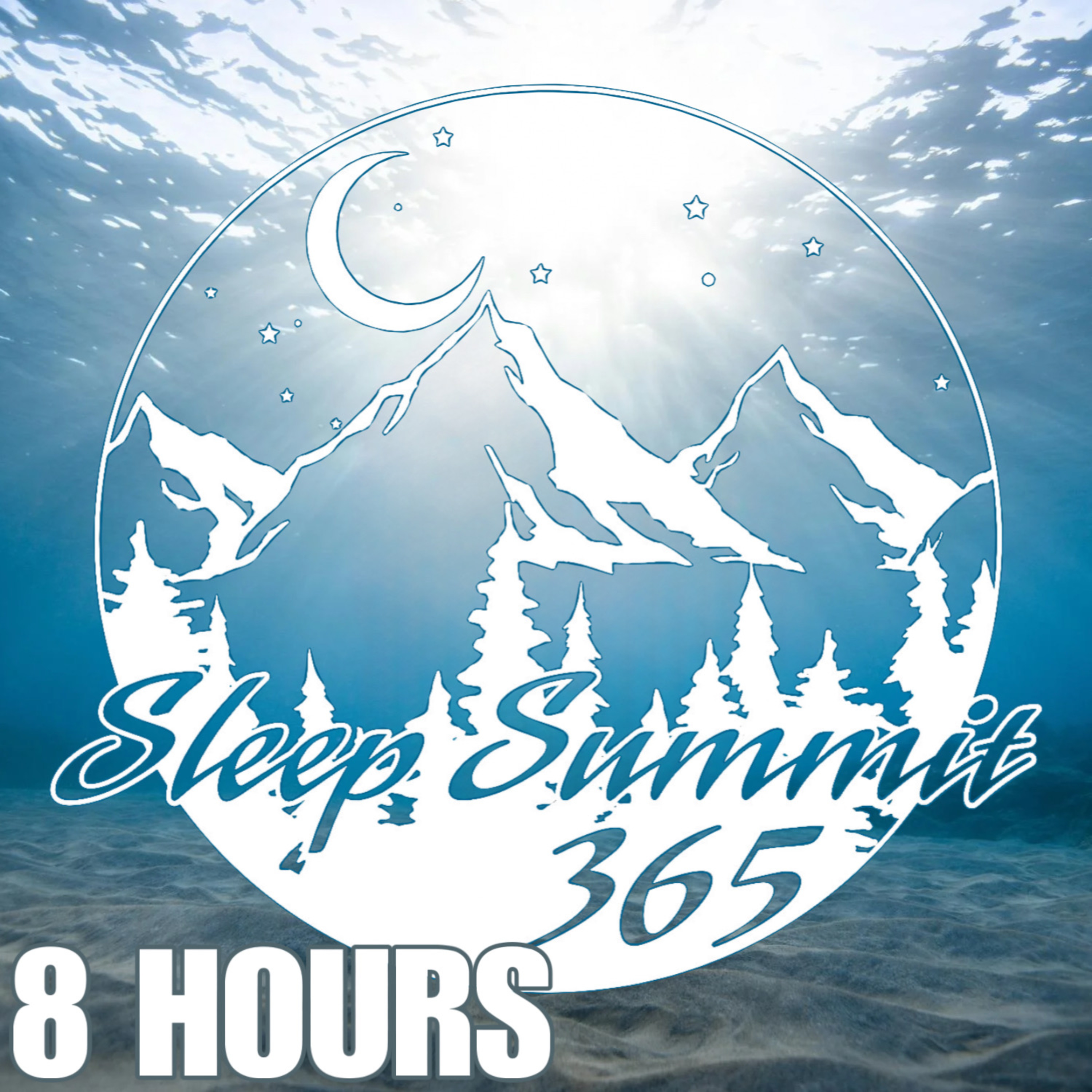 Sleep Summit 3 65 podcast cover