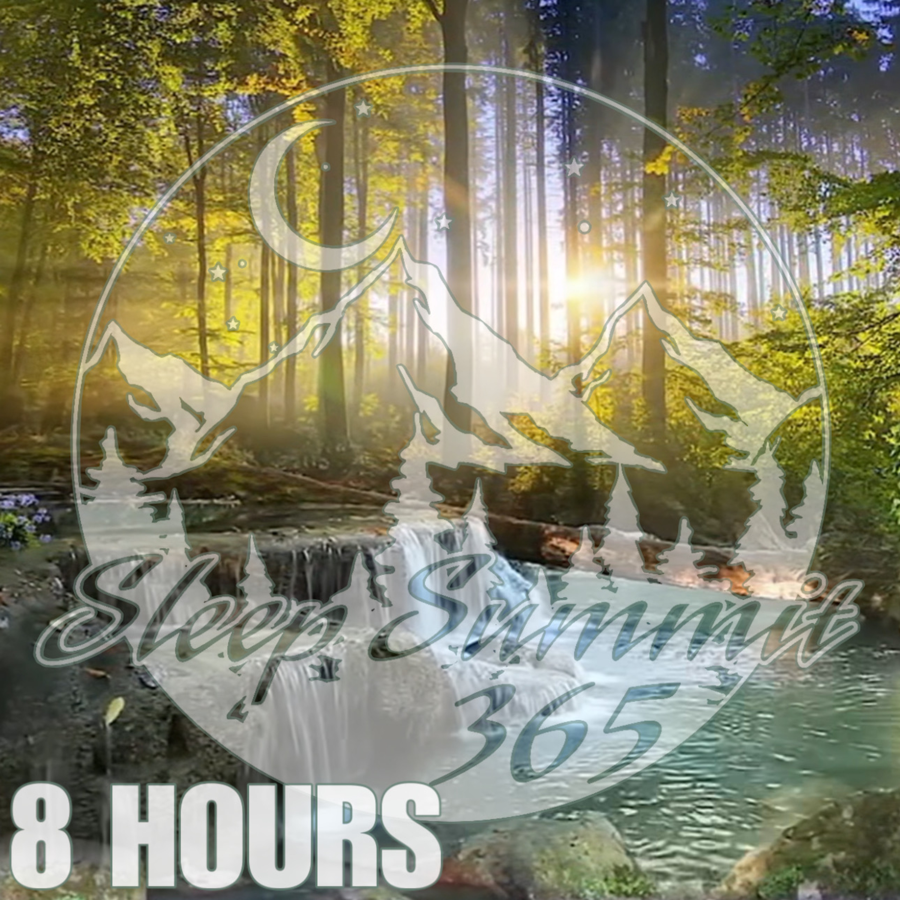 Sleep Summit 3 65 podcast cover