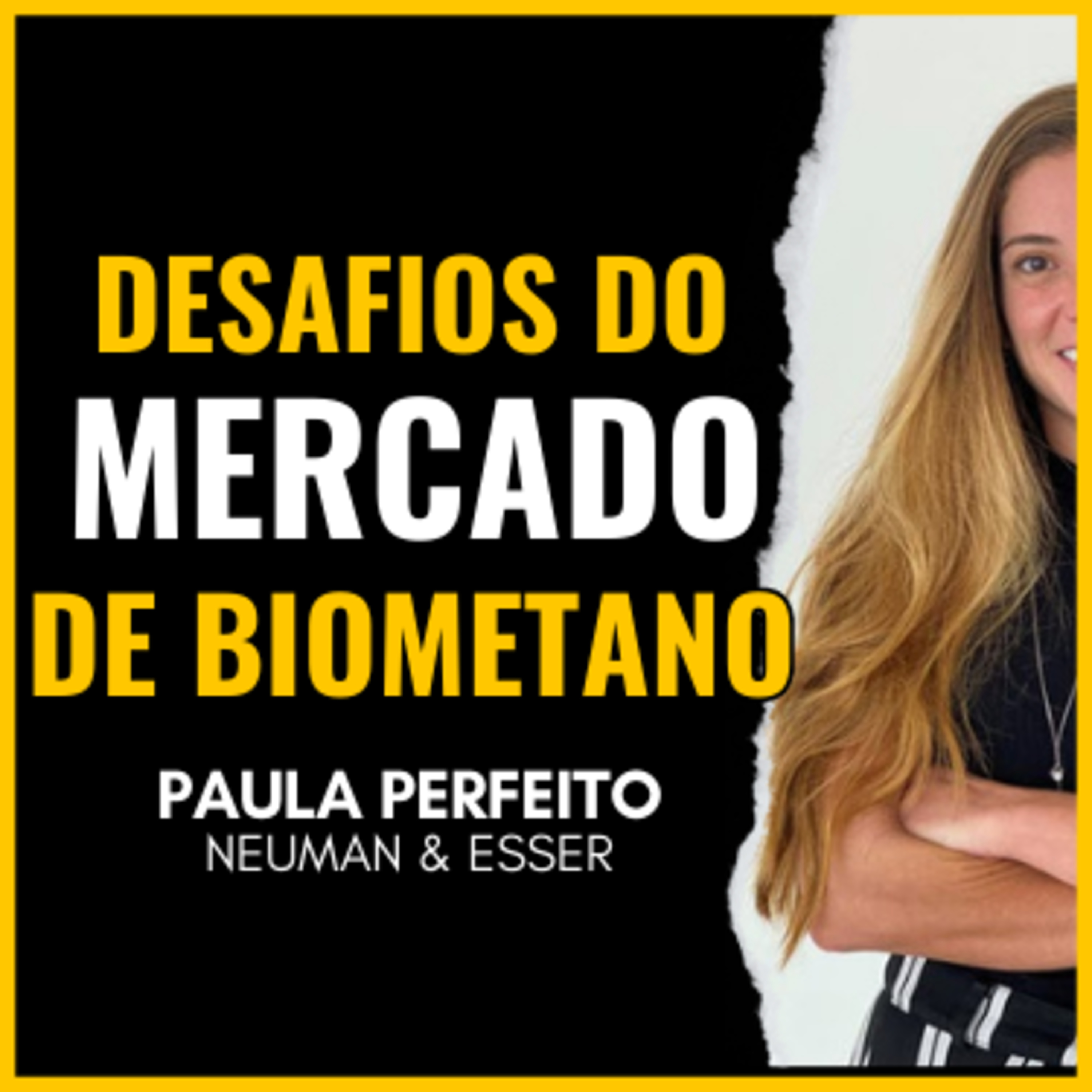 2 ANOS PARA FECHAR O PRIMEIRO PROJETO DE BIOMETANO (Paula Perfeito) | Dr. Biogas PodCast episode artwork