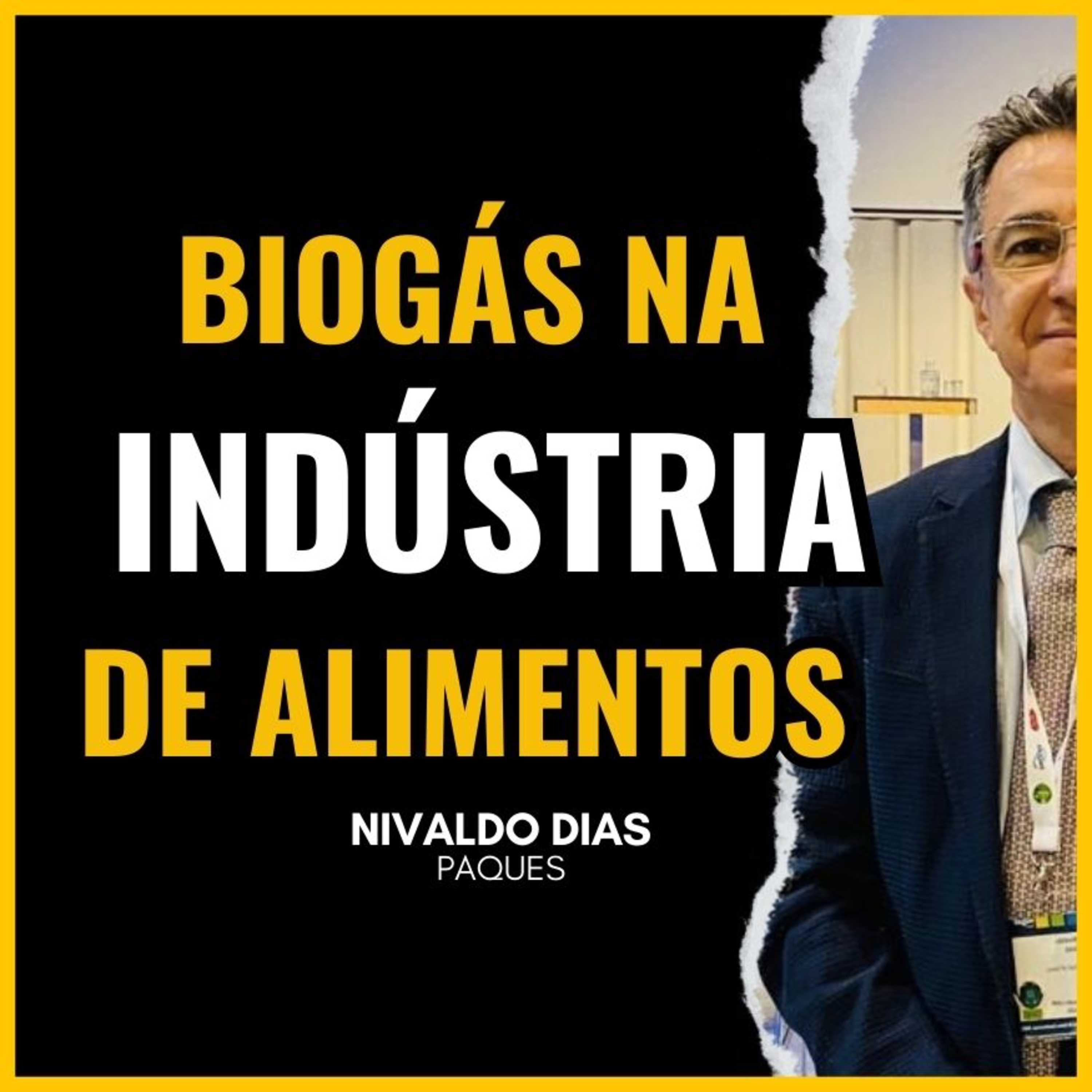 EFLUENTE INDUSTRIAL | Qual a melhor forma de produzir biogas? (Nivaldo Dias | Dr.biogas Podcast) episode artwork