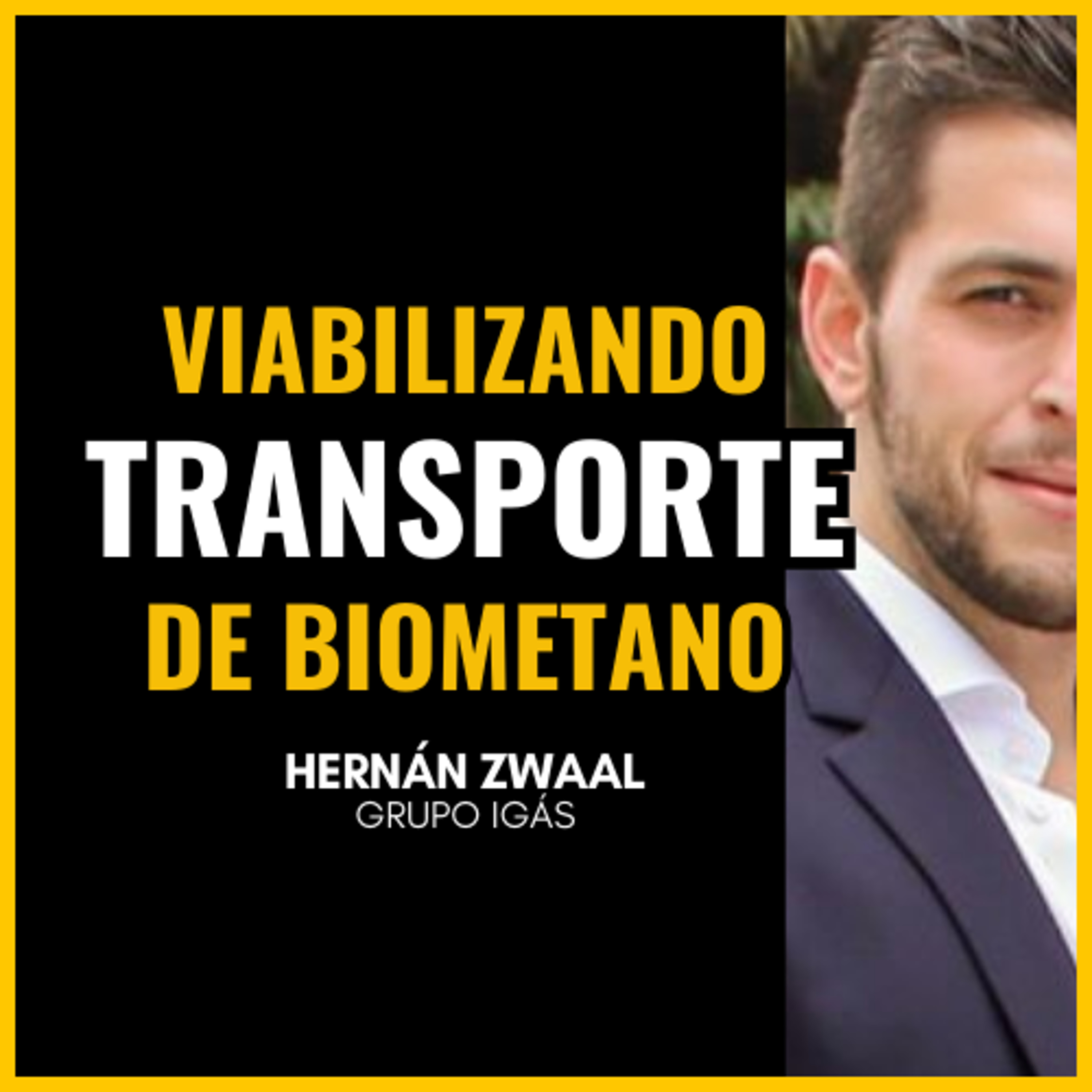 BIOMETANO | Como viabilizar o transporte rodoviário comprimido (Hernán Zwaal | Dr. Biogas PodCast) episode artwork