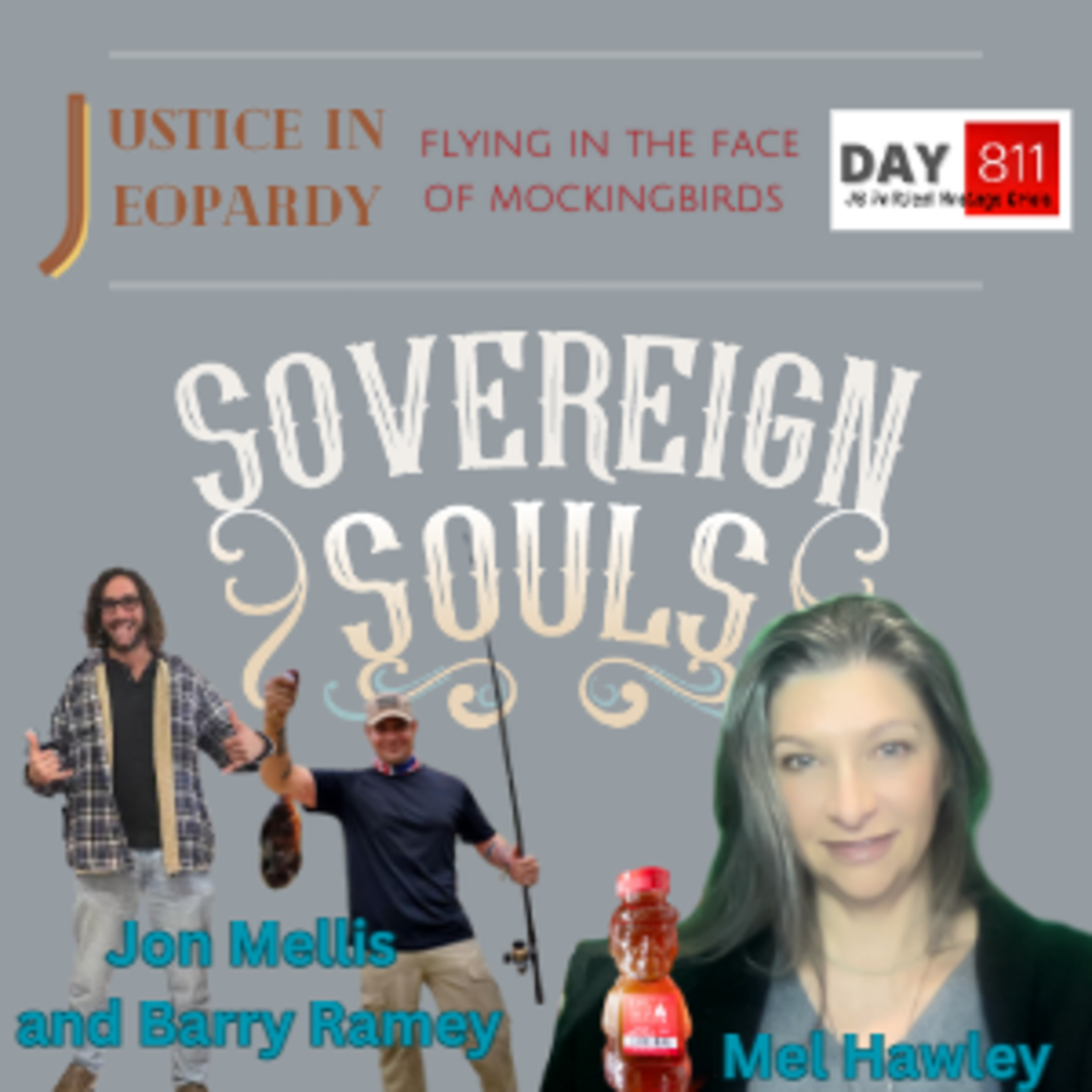 Sovereign Souls Media (Justice In Jeopardy)