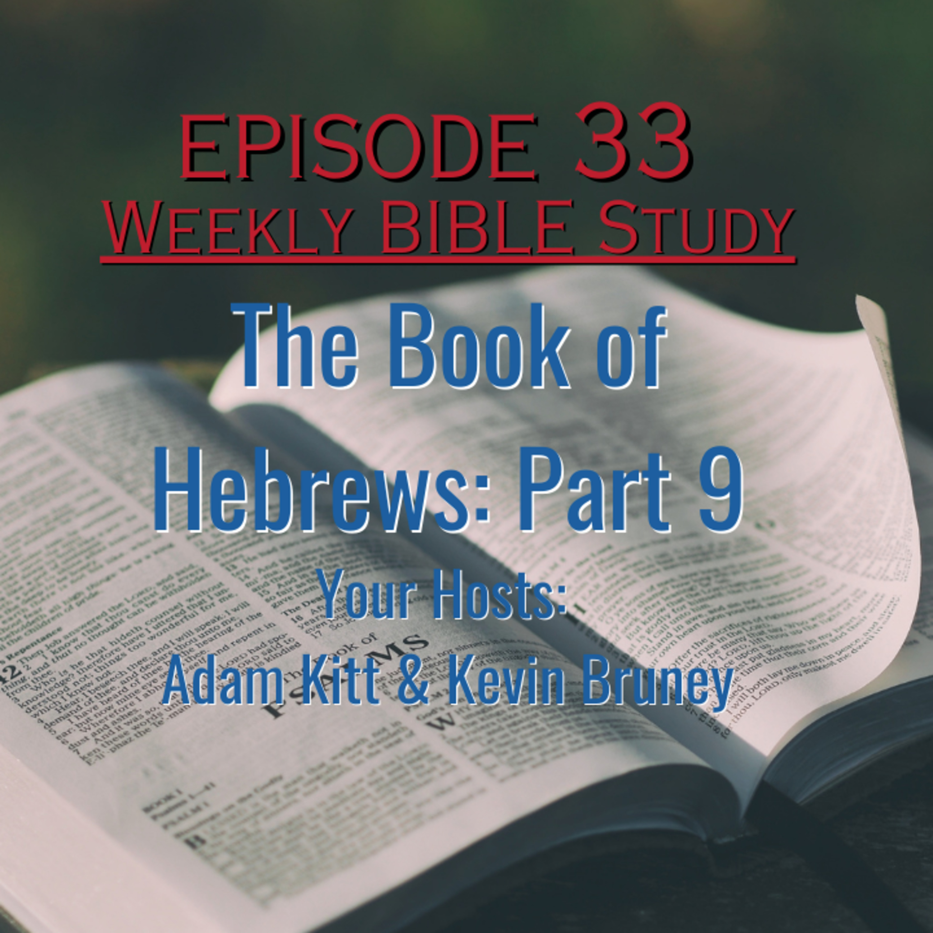 Weekly Bible Study - Hebrews Part 9 - Jesus our High Priest Forever episode artwork
