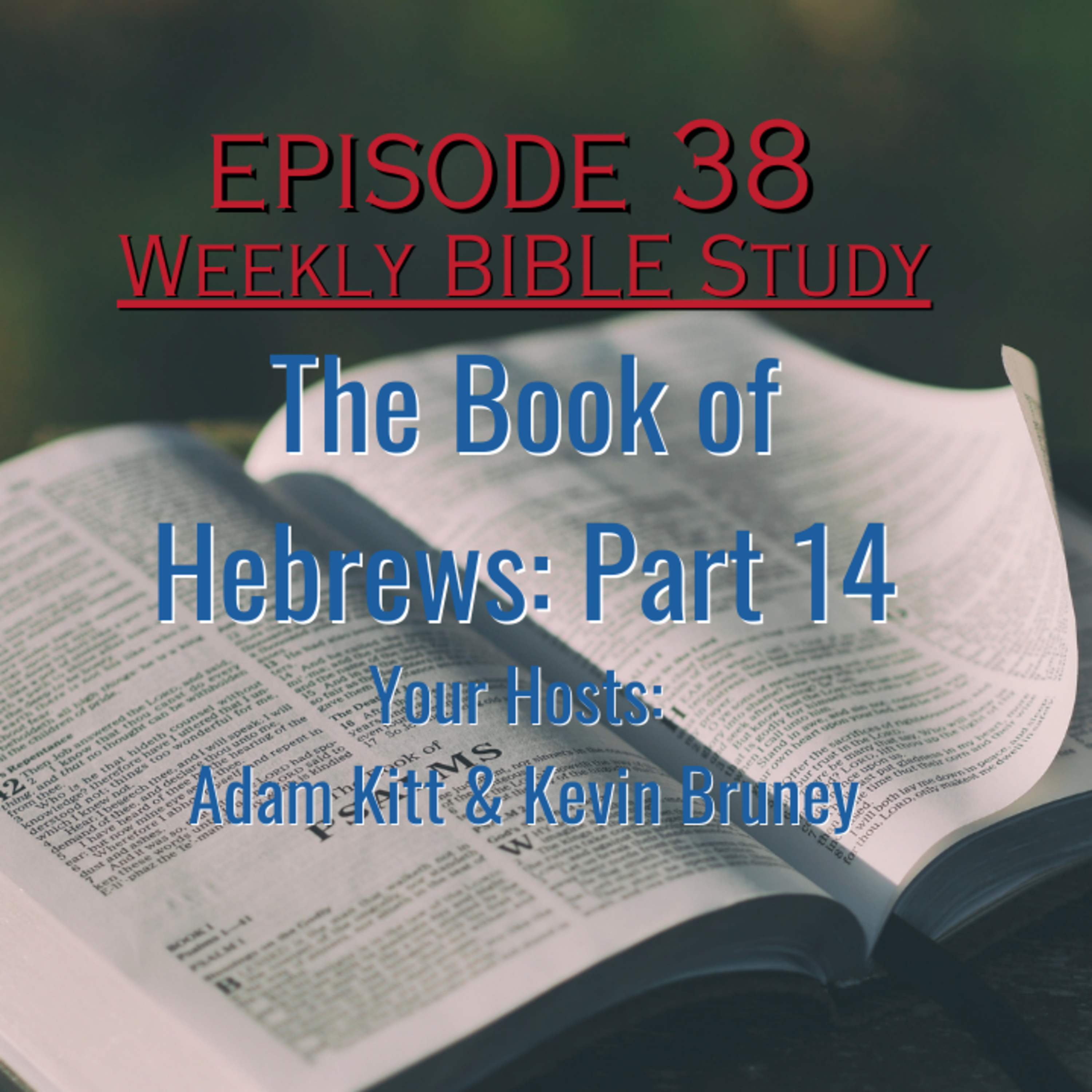 By FAITH They Lived and Hoped - Weekly Bible Study - Hebrews Part 14 episode artwork