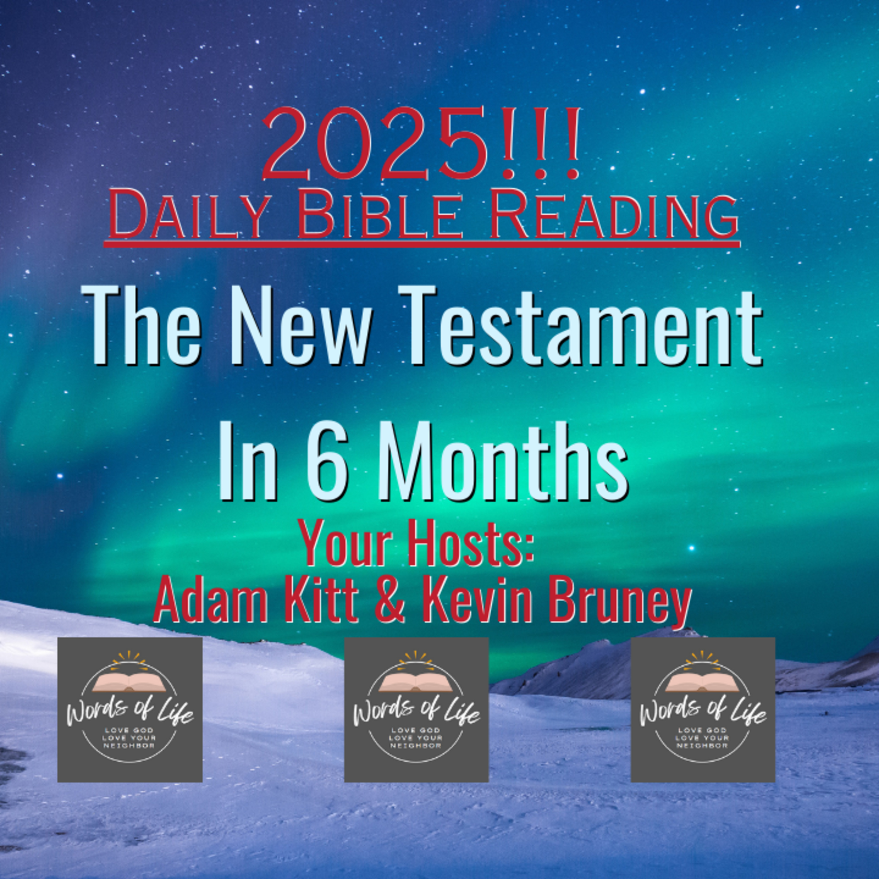 Happy New Year! Let's Read The Bible! New Testament in 6 Months!!! episode artwork