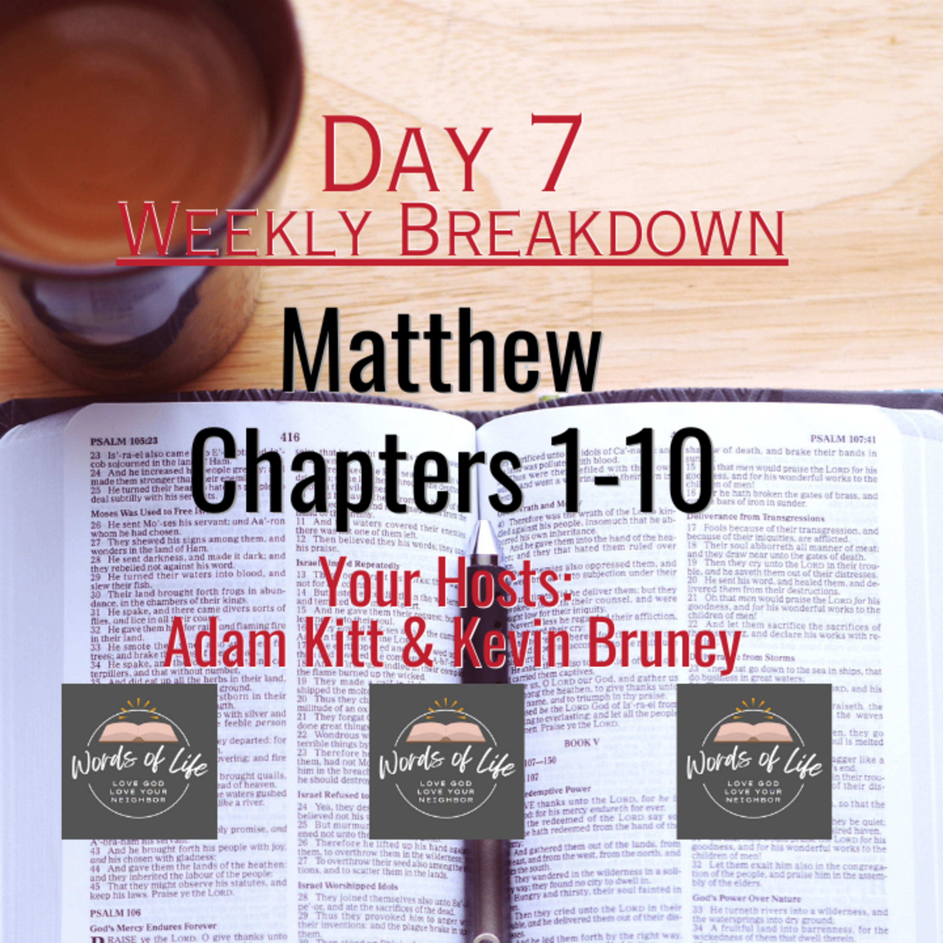 Why Jesus? Breaking Down Our First Week - Day 7 - Daily Bible Reading Matthew 1-10 episode artwork