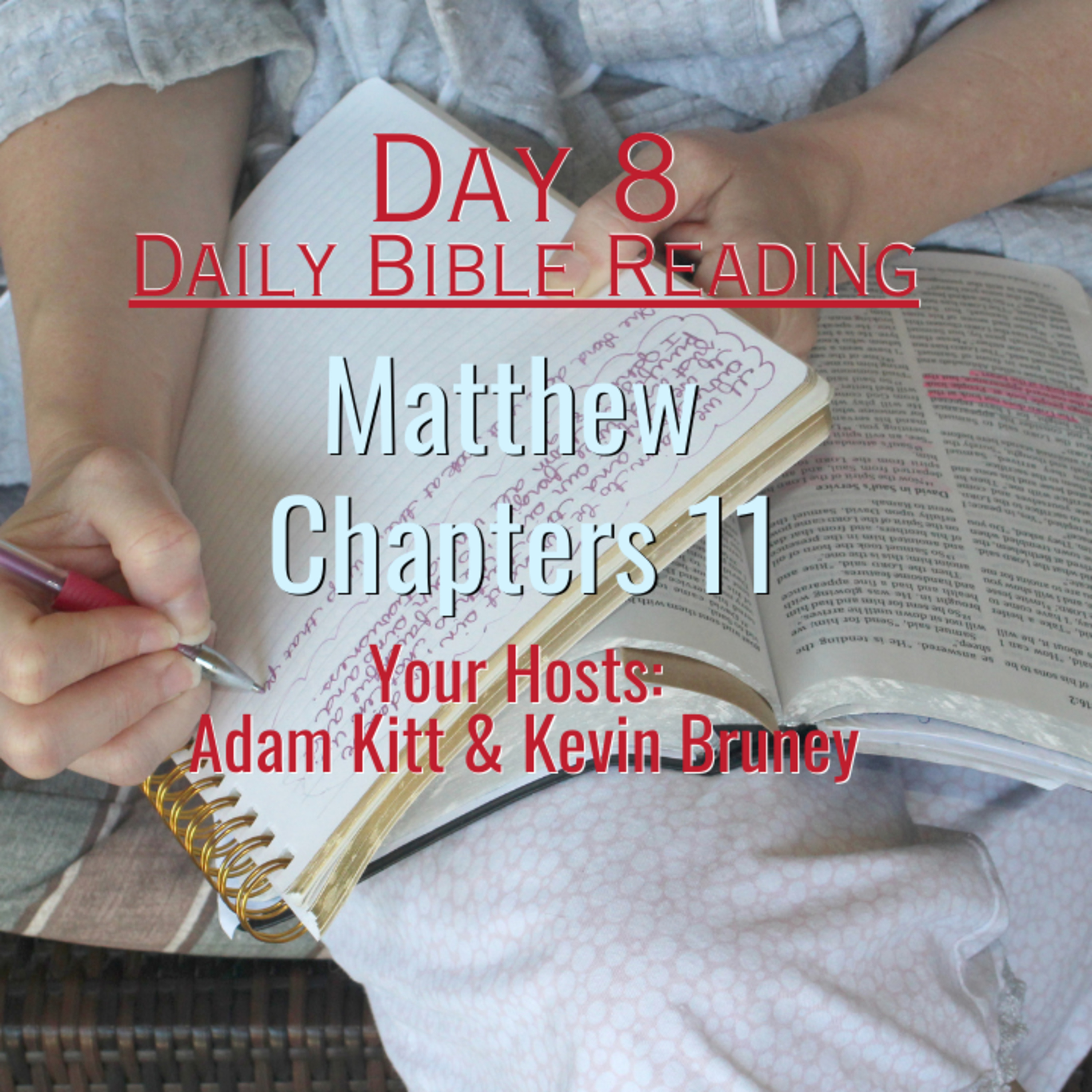 "Come to Me... and I will give you rest" Day 8 - Daily Bible Reading - Matthew 11 episode artwork