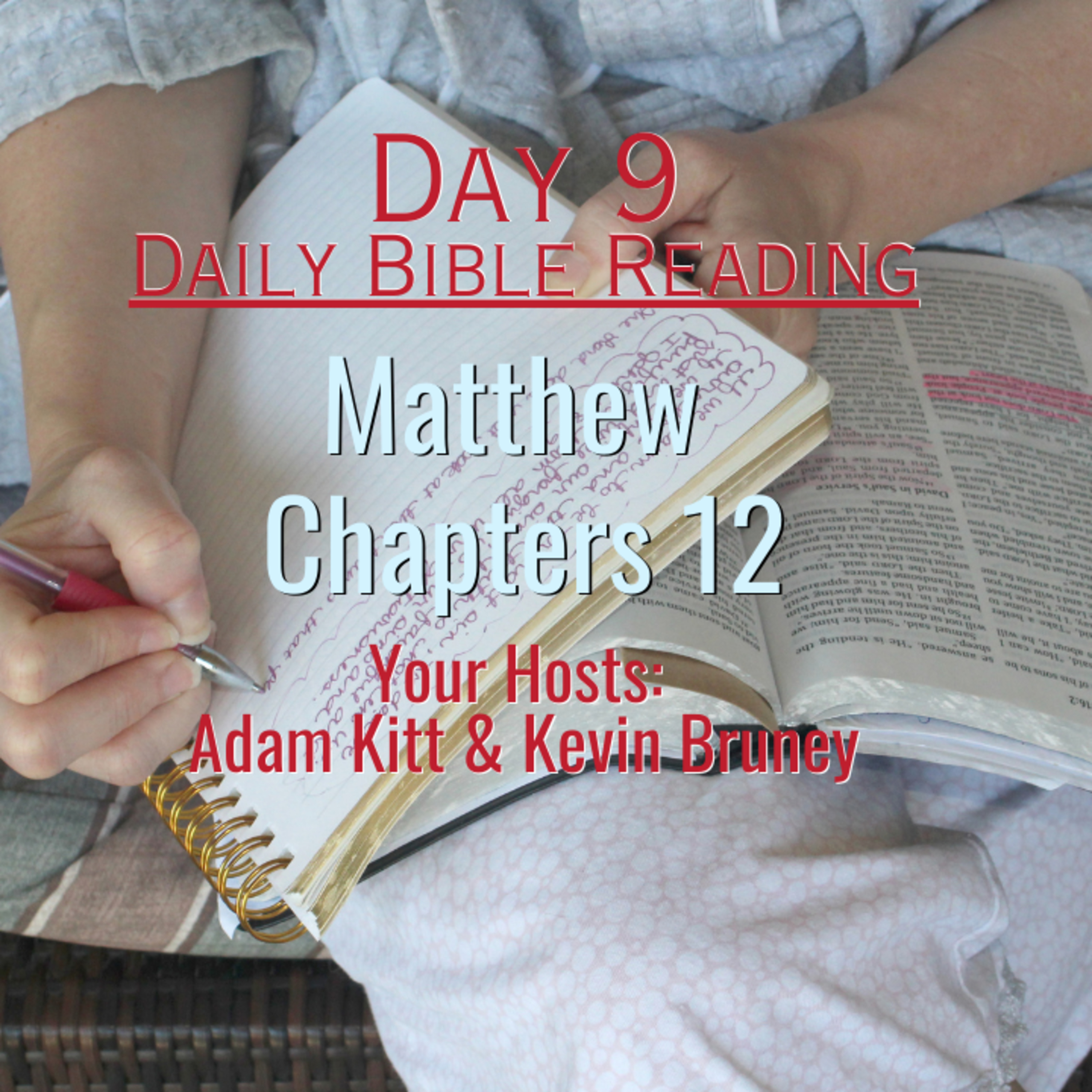 Jesus, Lord of the Sabbath - Daily Bible Reading Day 9 - Matthew 12 episode artwork