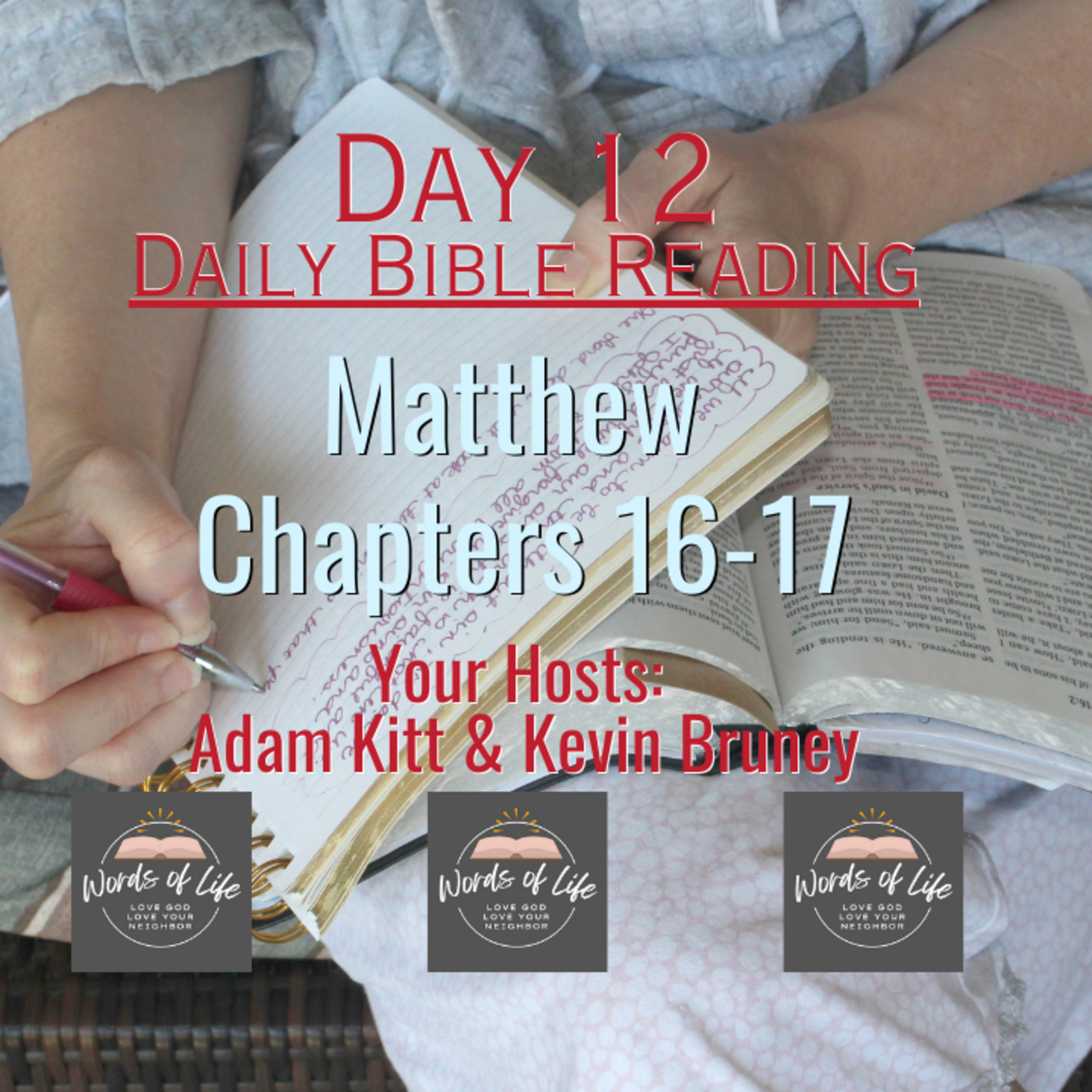 The Transfiguration of Jesus - Day 12 - Daily Bible Reading - Matthew 16 and 17 episode artwork