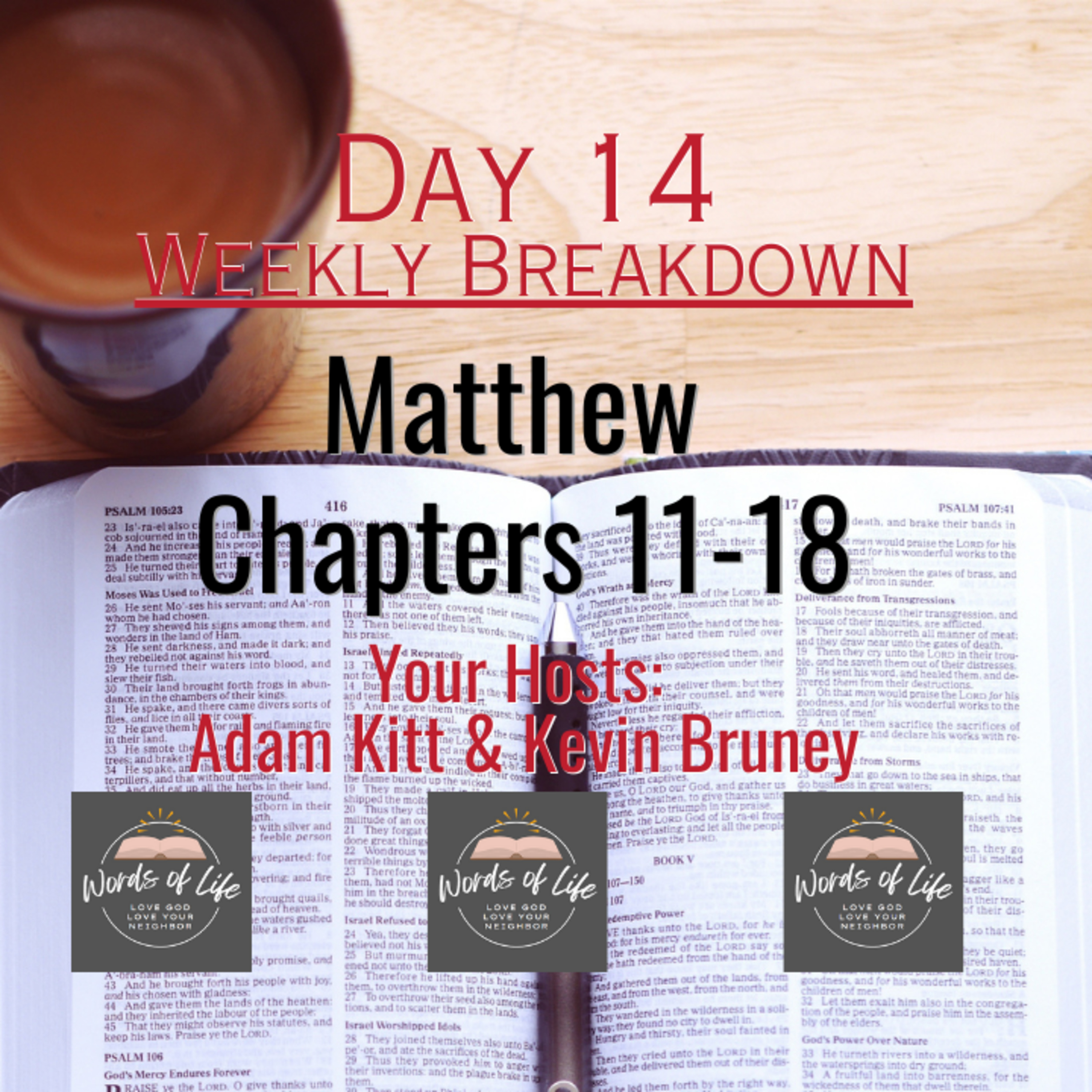 How old WERE the Apostles? | Weekly Recap of Matthew 11-18 episode artwork