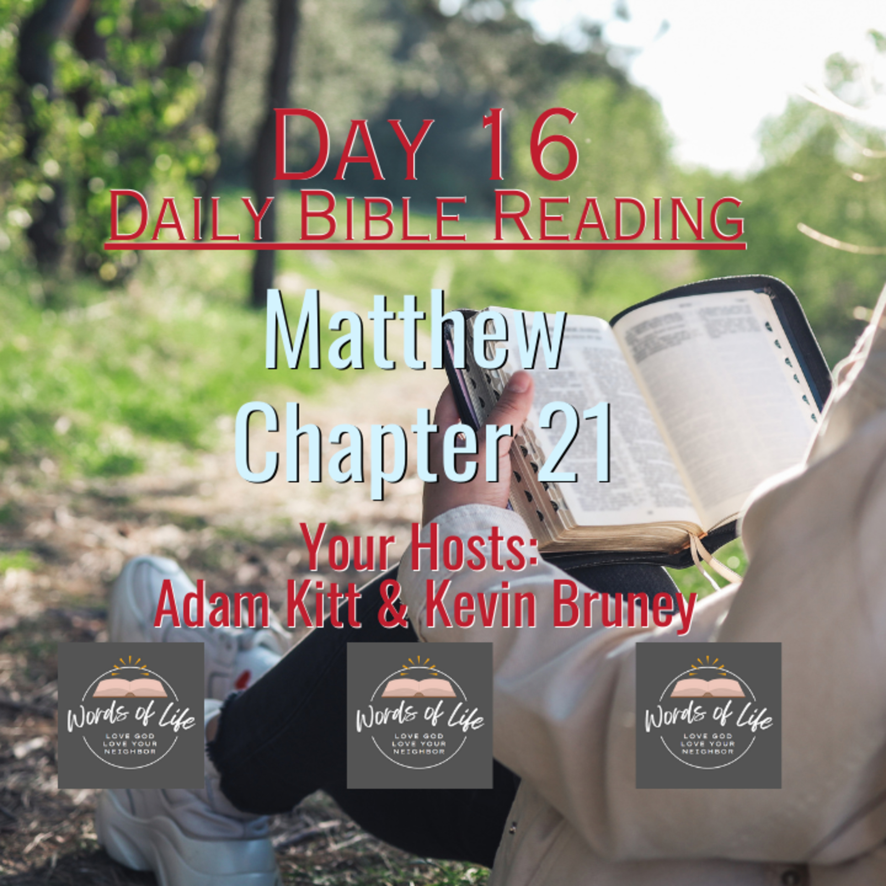 The Triumphal Entry of Jesus - Day 16 - Daily Bible Reading - Matthew 21 episode artwork