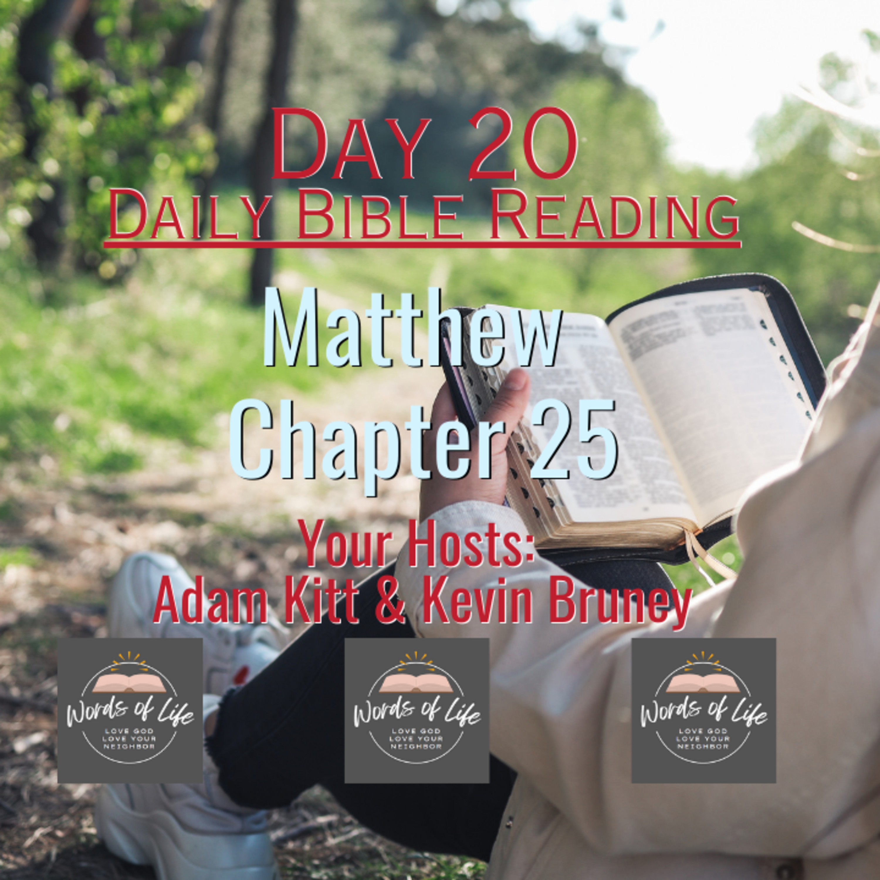 How Many 'Talents' Do You have? Day 20 - Daily Bible Reading - Matthew 25 episode artwork