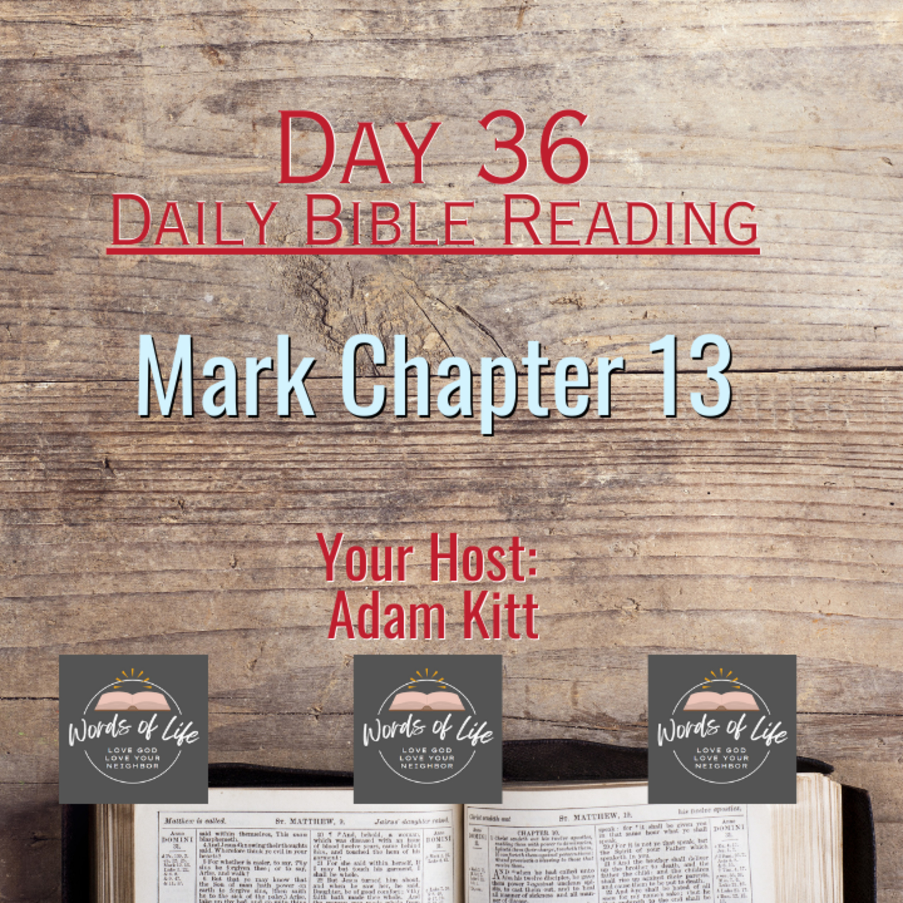 Is It The Destruction of Jerusalem, Or The Second Coming? Day 36 - Daily Bible Reading - Mark 13 episode artwork