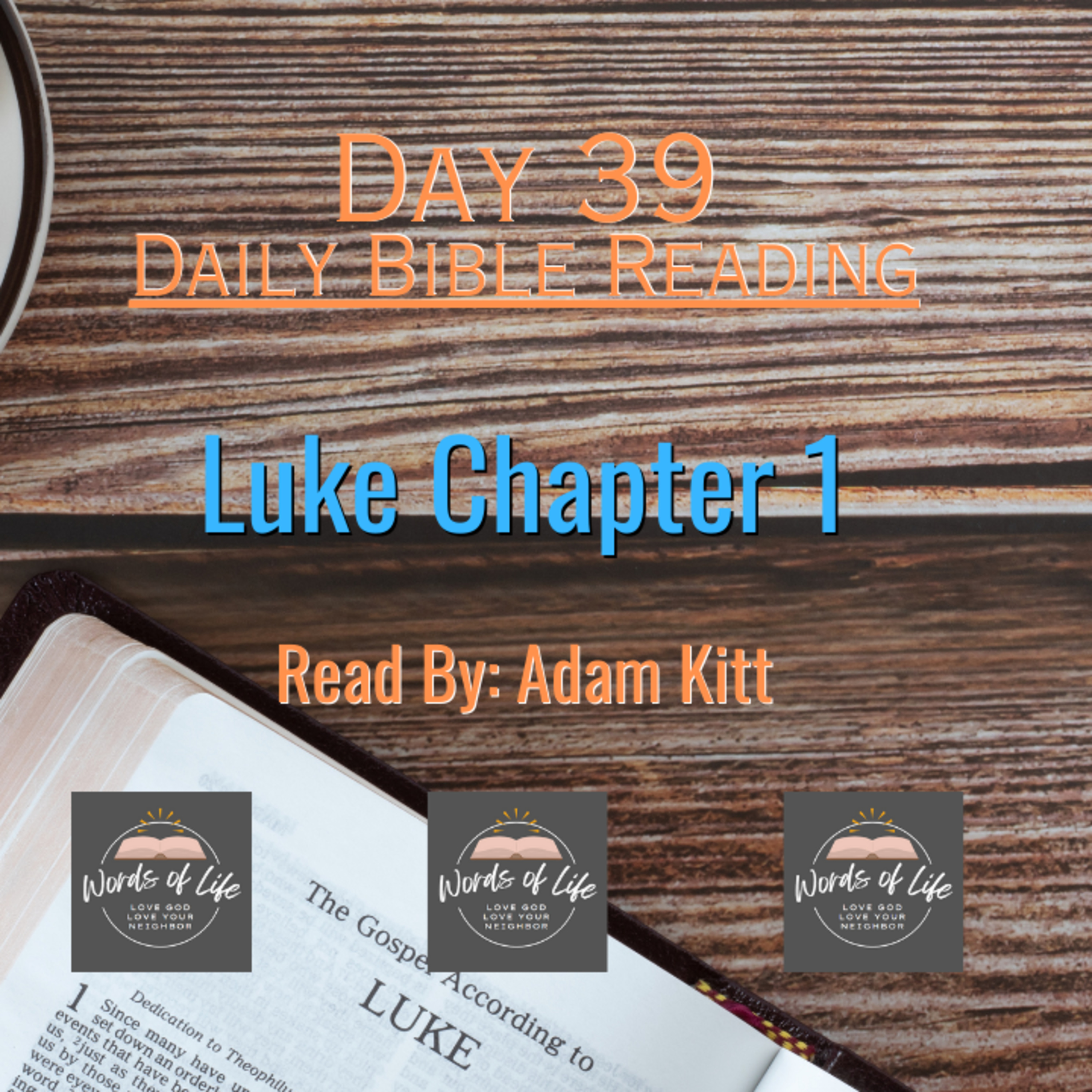 Two Women, Two Promises, One Savior... Day 39 - Daily Bible Reading - Luke 1 episode artwork