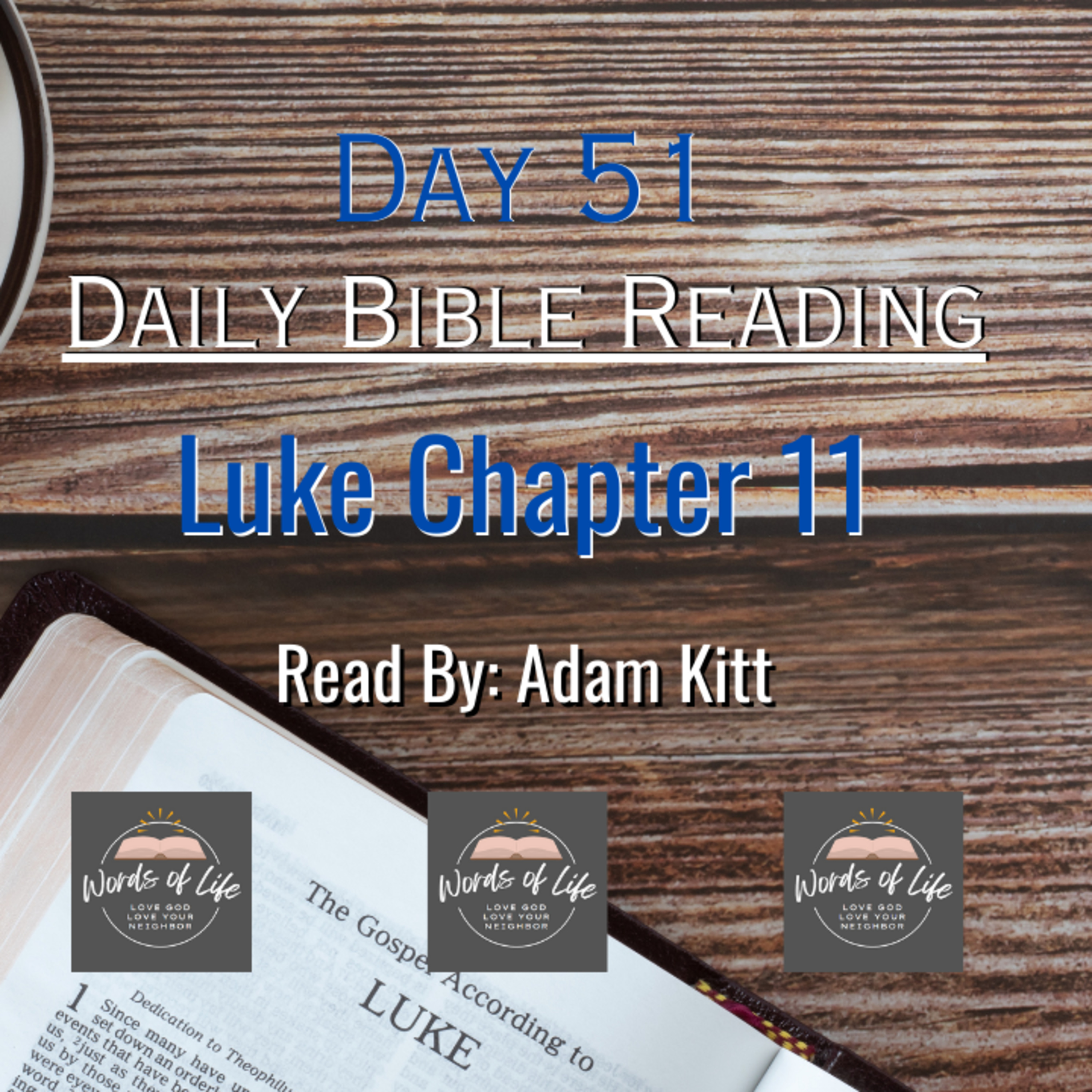 How Bold Should Our Prayers Be? Jesus’ Teaching Will Surprise You! Day 51 - Daily Bible - Luke 11 episode artwork
