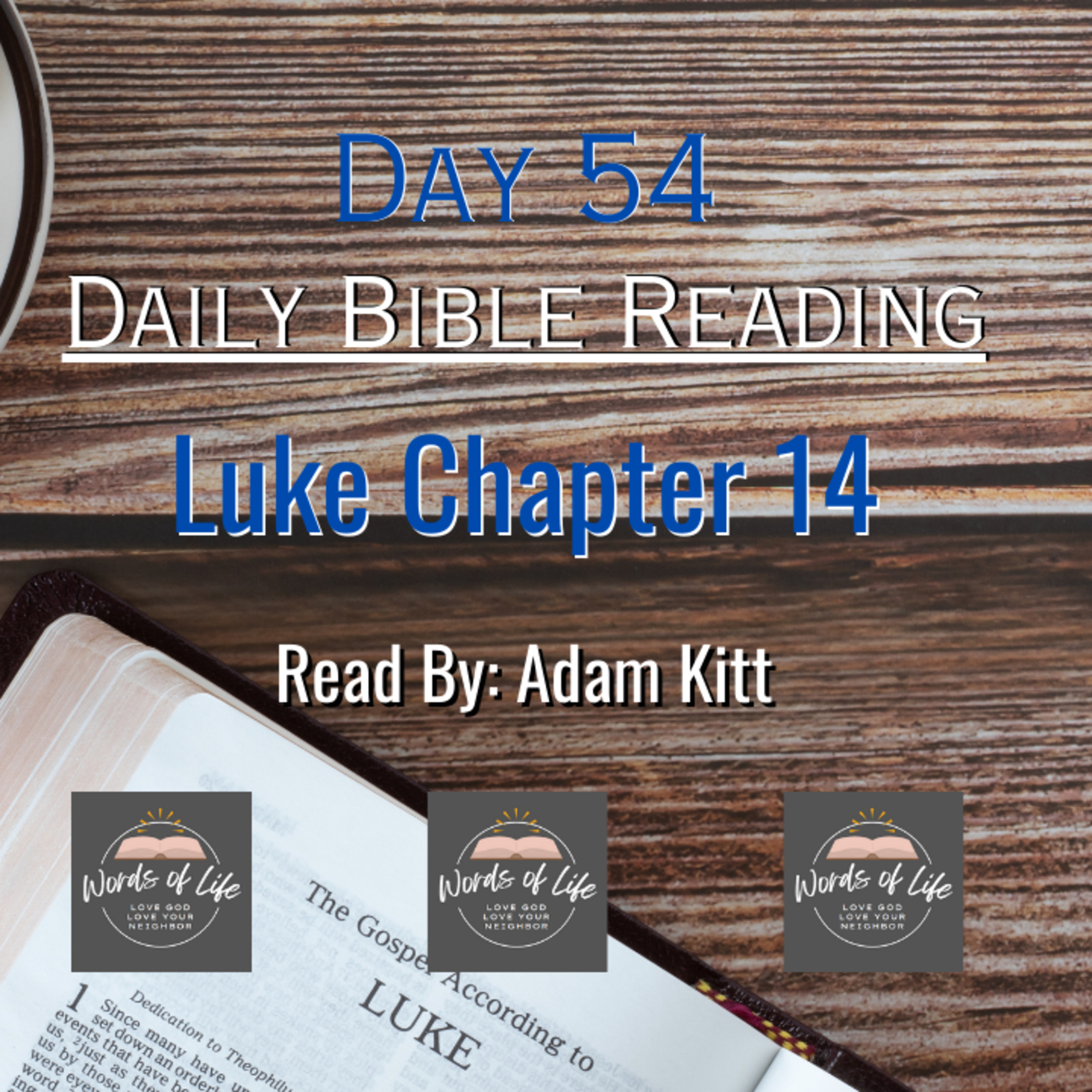The Cost of Discipleship: Are You Ready to Follow Jesus? - Day 54 - Daily Bible Reading - Luke 14 episode artwork