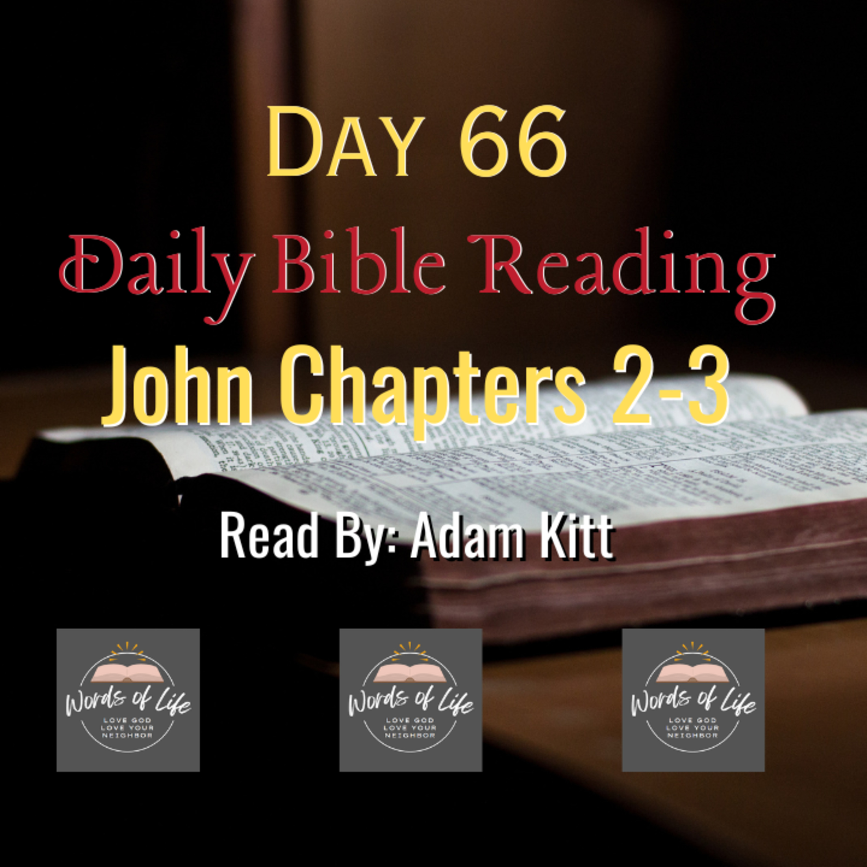 Water Into Wine & Born Again? Jesus’ First Miracles & Teachings! - Day 66 - Daily Bible - John 2-3 episode artwork