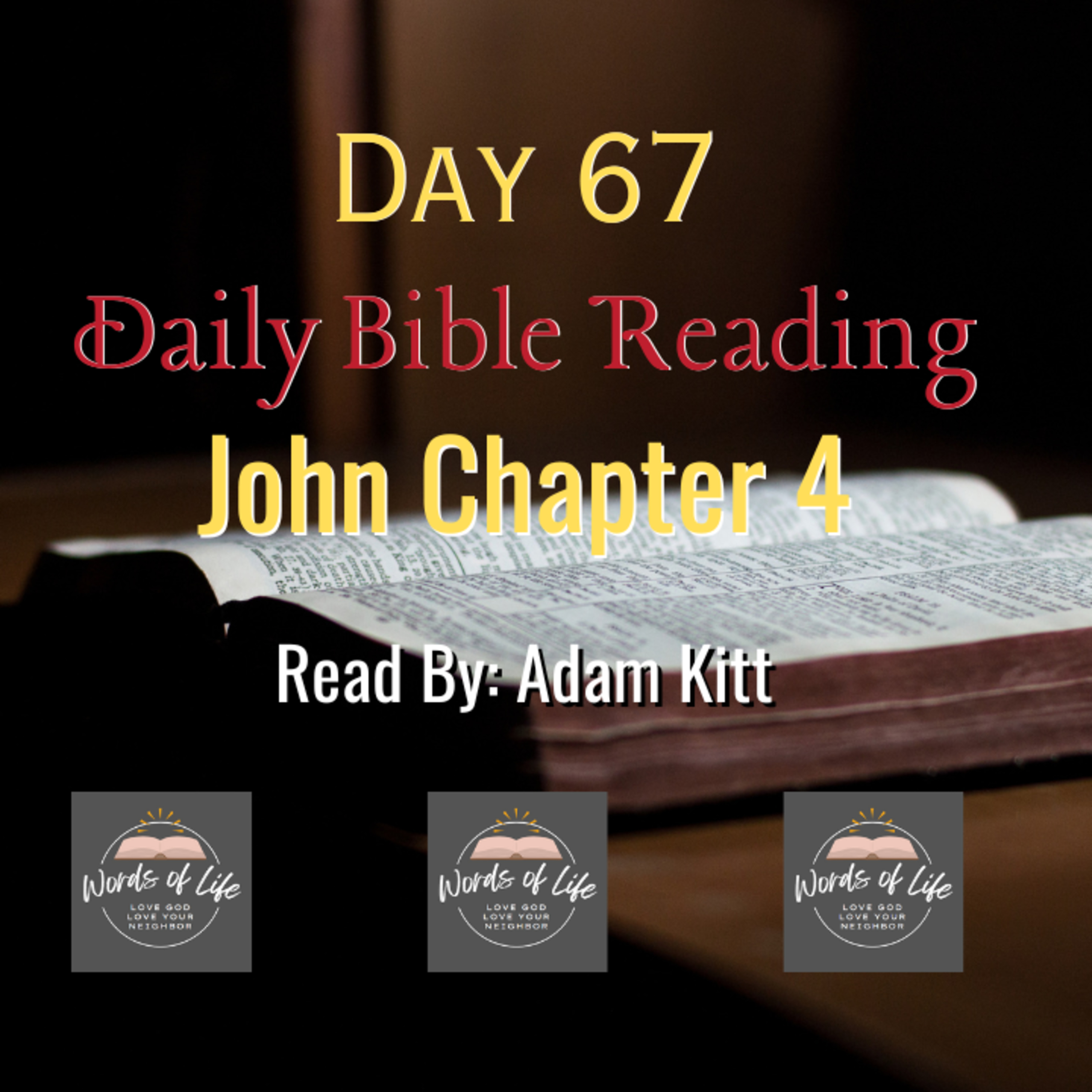 Jerusalem or Spirit & Truth? How Jesus Redefined Worship! - Day 67 - Daily Bible - John 4 episode artwork