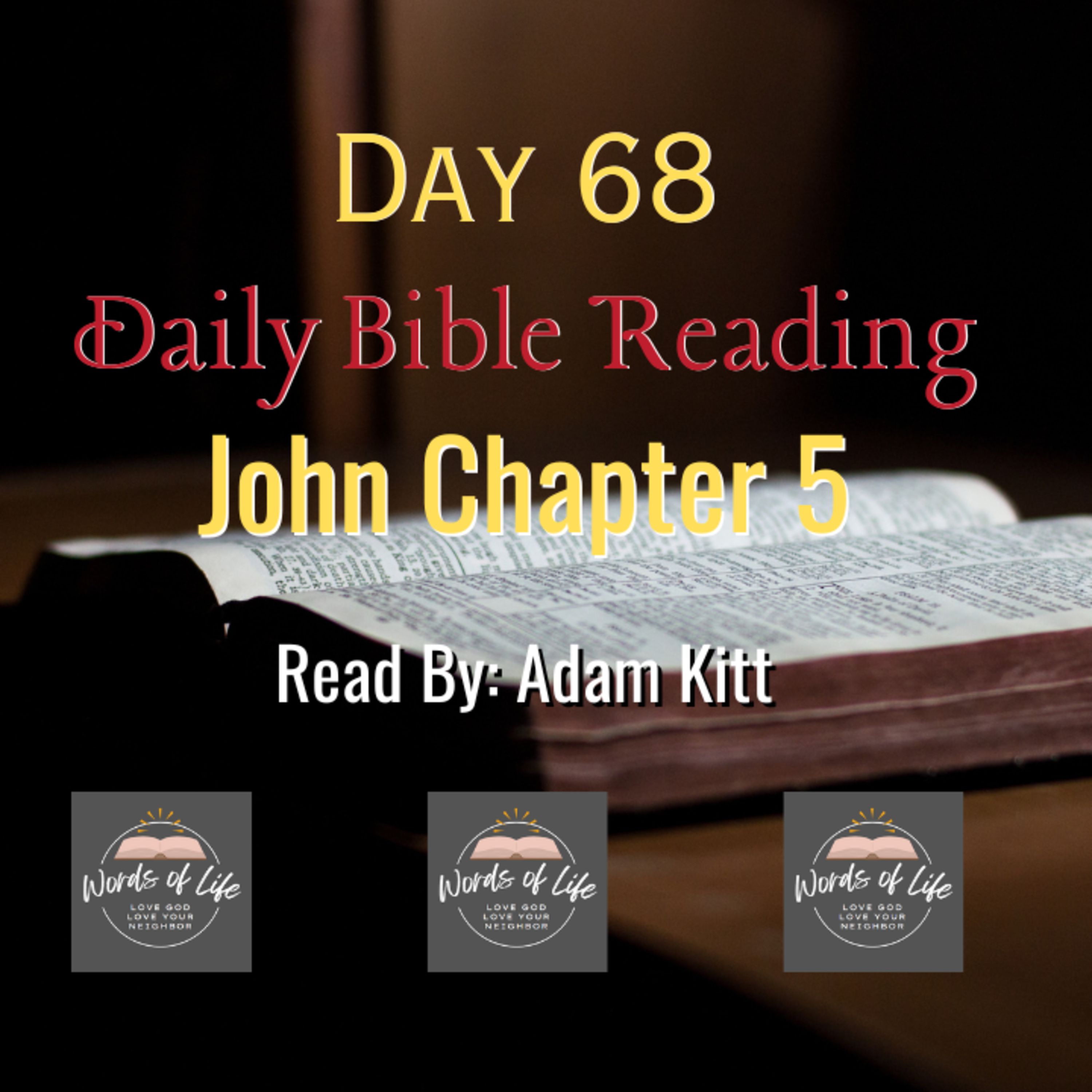 Do You Want to Be Healed? Jesus’ Question in John 5! - Day 68 - Daily Bible - John 5 episode artwork