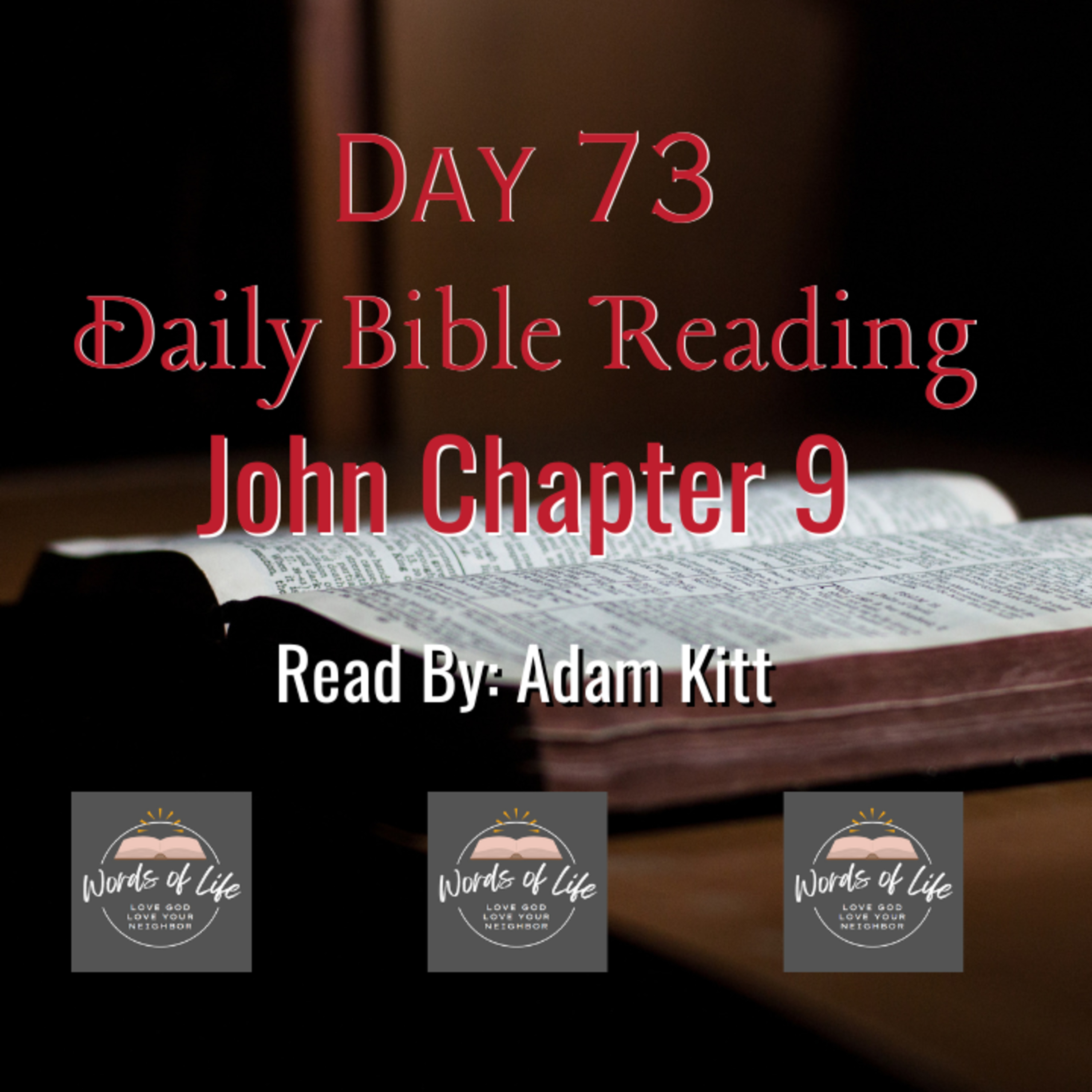 Blind from Birth… Until Jesus Stepped In! - Day 73 - Daily Bible - John 9 episode artwork