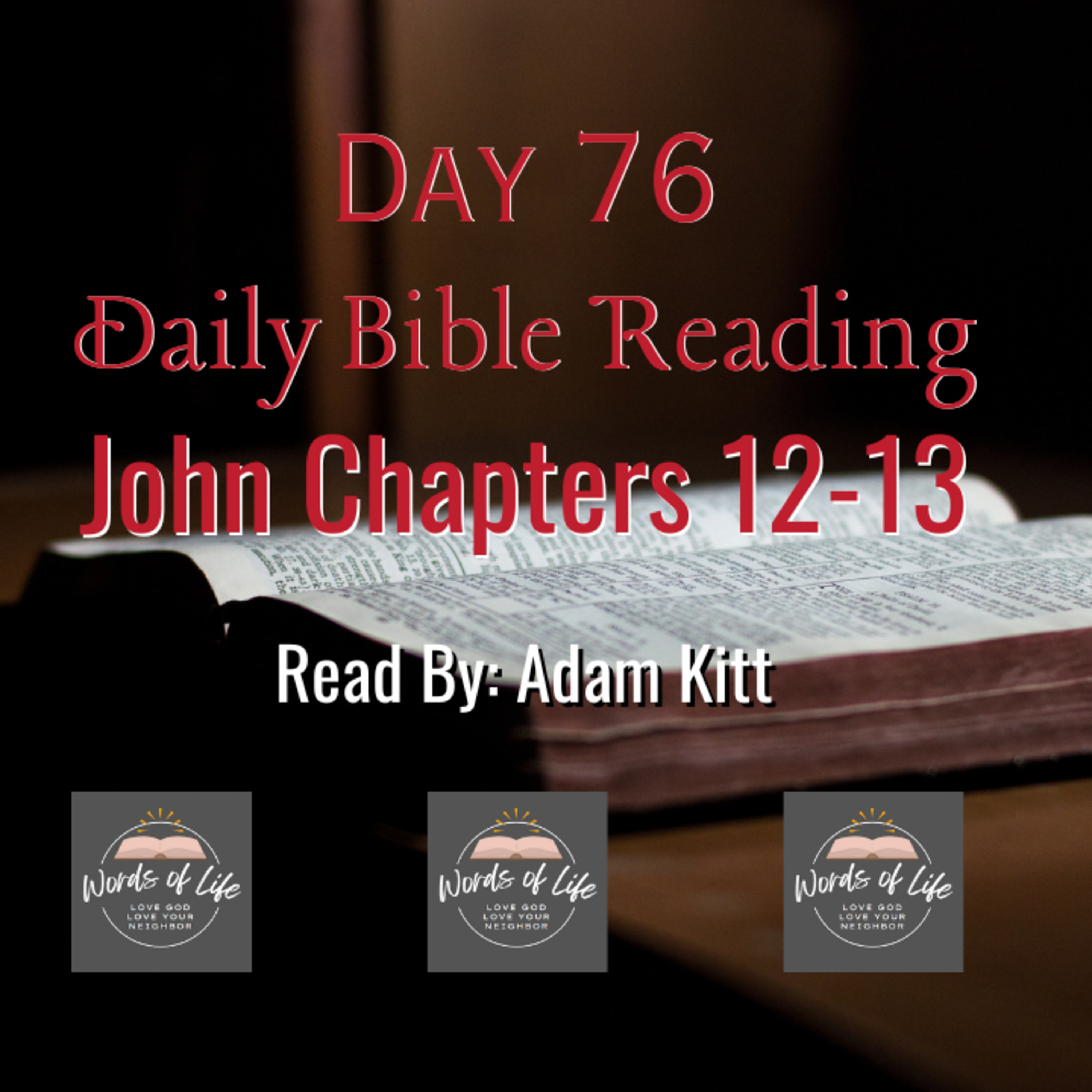 3 Life-Changing Lessons from Jesus’ Final Days! - Day 76 - Daily Bible - John 12-13 episode artwork