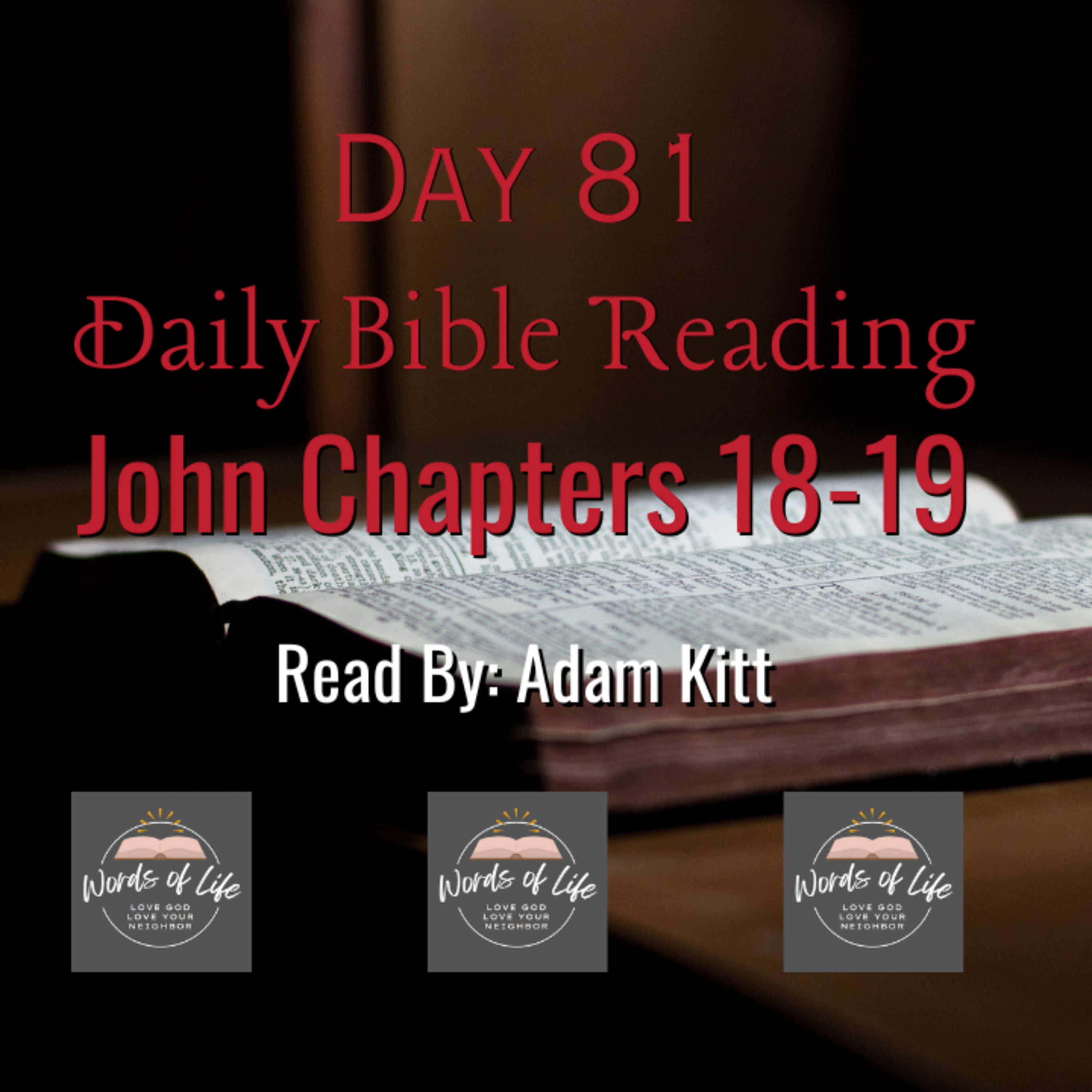 What Is Truth? Pilate’s Question Still Echoes Today - Day 81 - Daily Bible - John 18-19 episode artwork