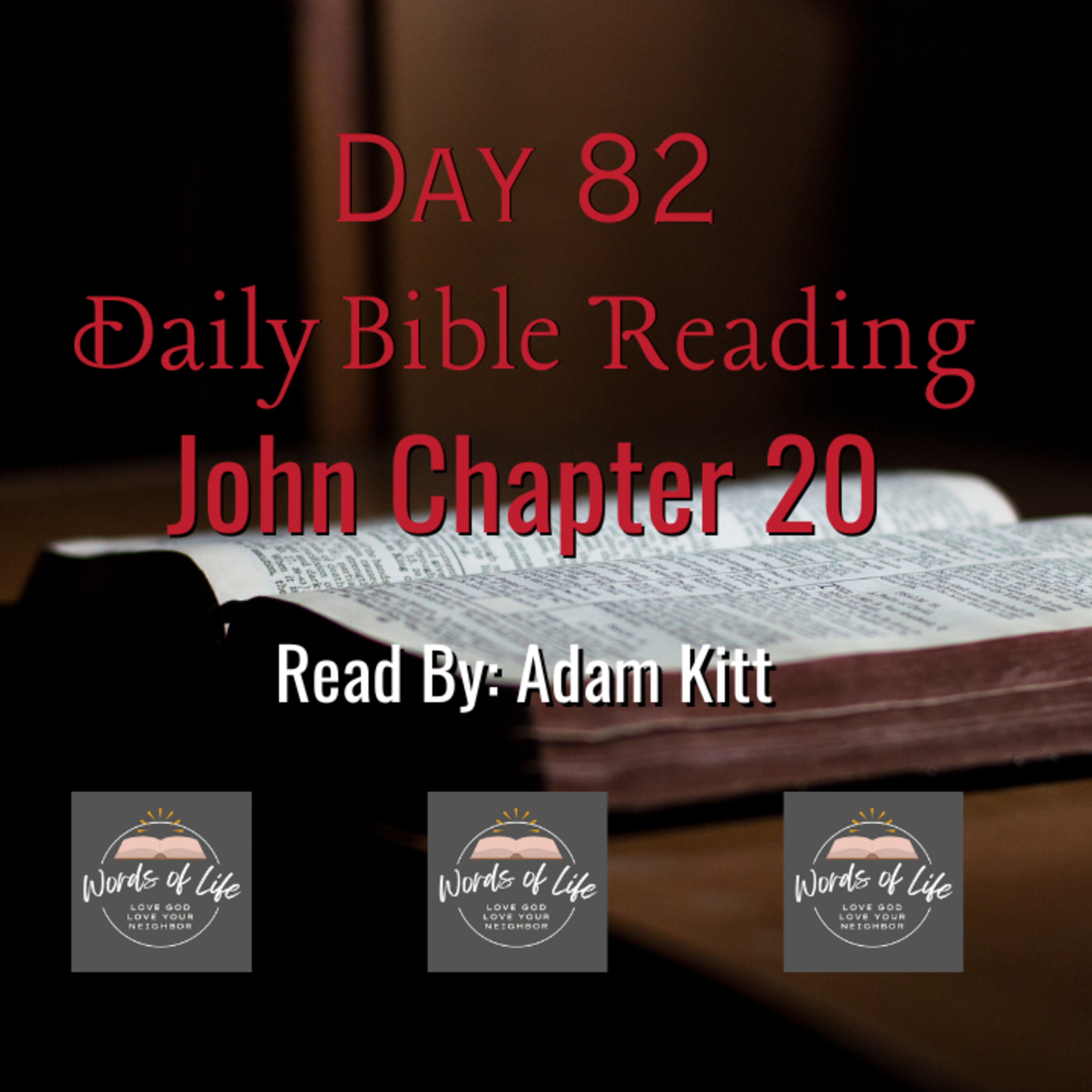3 Life-Changing Lessons from Jesus’ Resurrection! - Day 82 - Daily Bible - John 20 episode artwork
