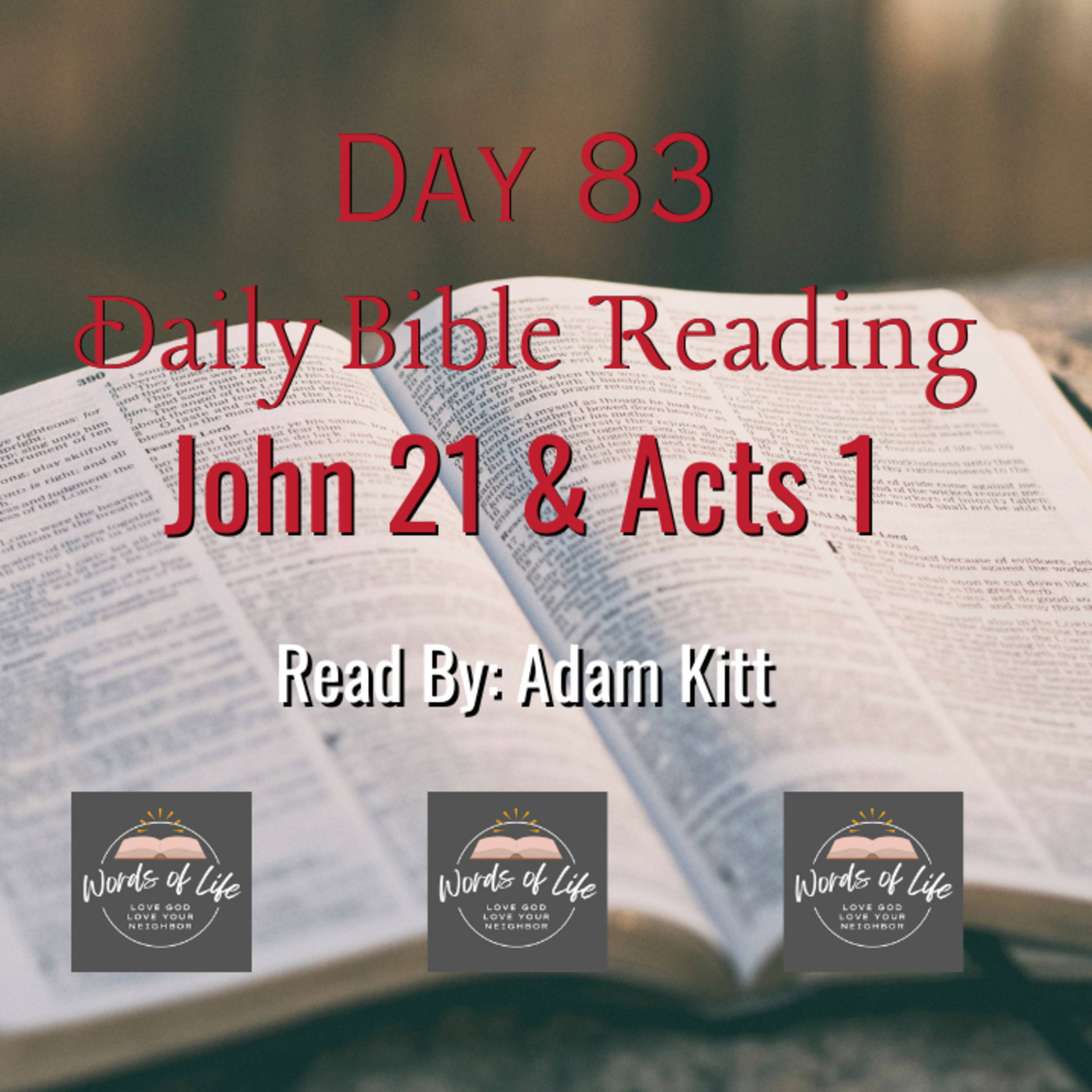 From Denial to Purpose: Peter’s Comeback Begins - Day 83 - Daily Bible - John 21 & Acts 1 episode artwork