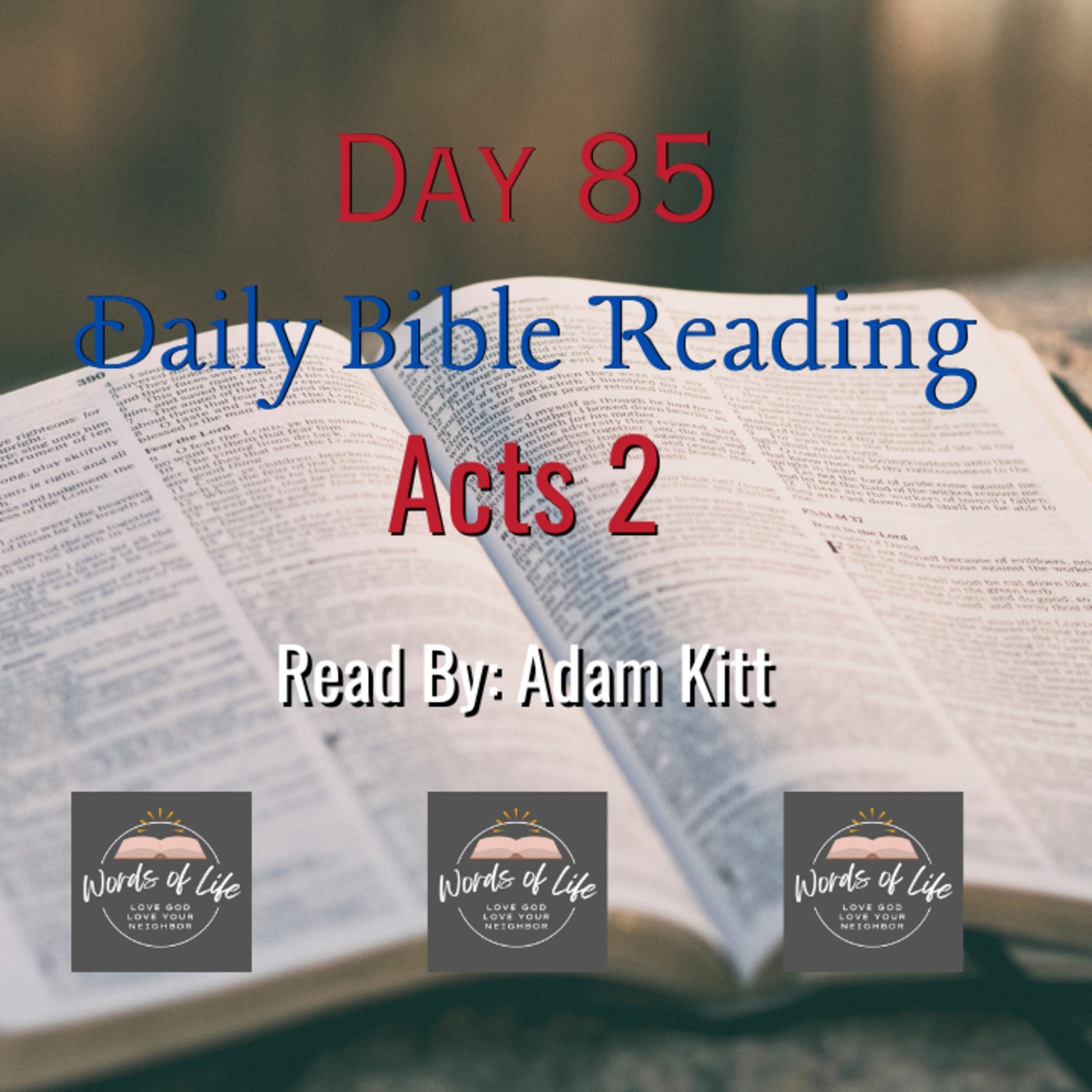 Tongues of Fire, Bold Preaching, 3,000 Saved! - Day 85 - Daily Bible Reading - Acts 2 episode artwork