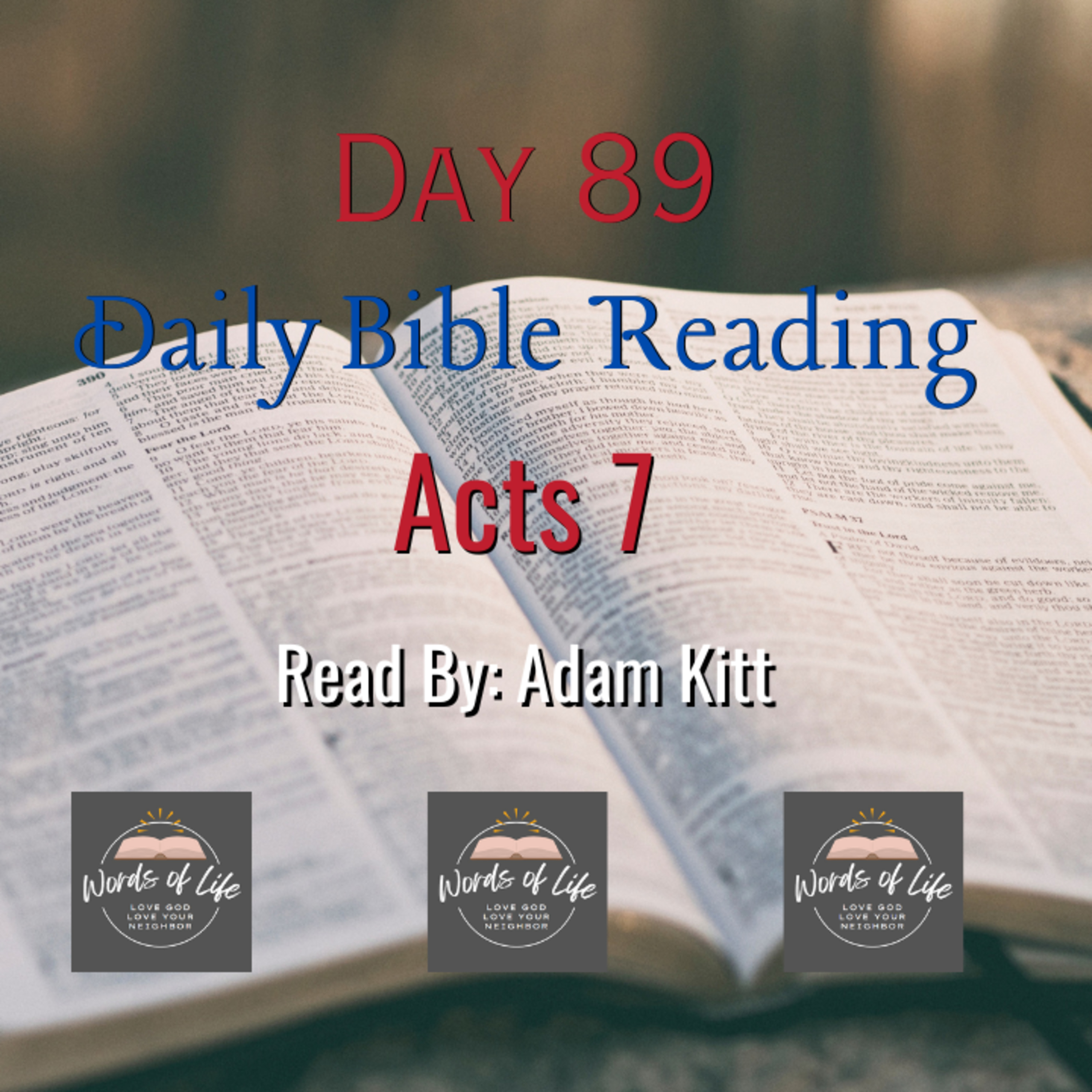 The First Martyr: Stephen’s Bold Final Stand - Day 89 - Daily Bible - Acts 7 episode artwork