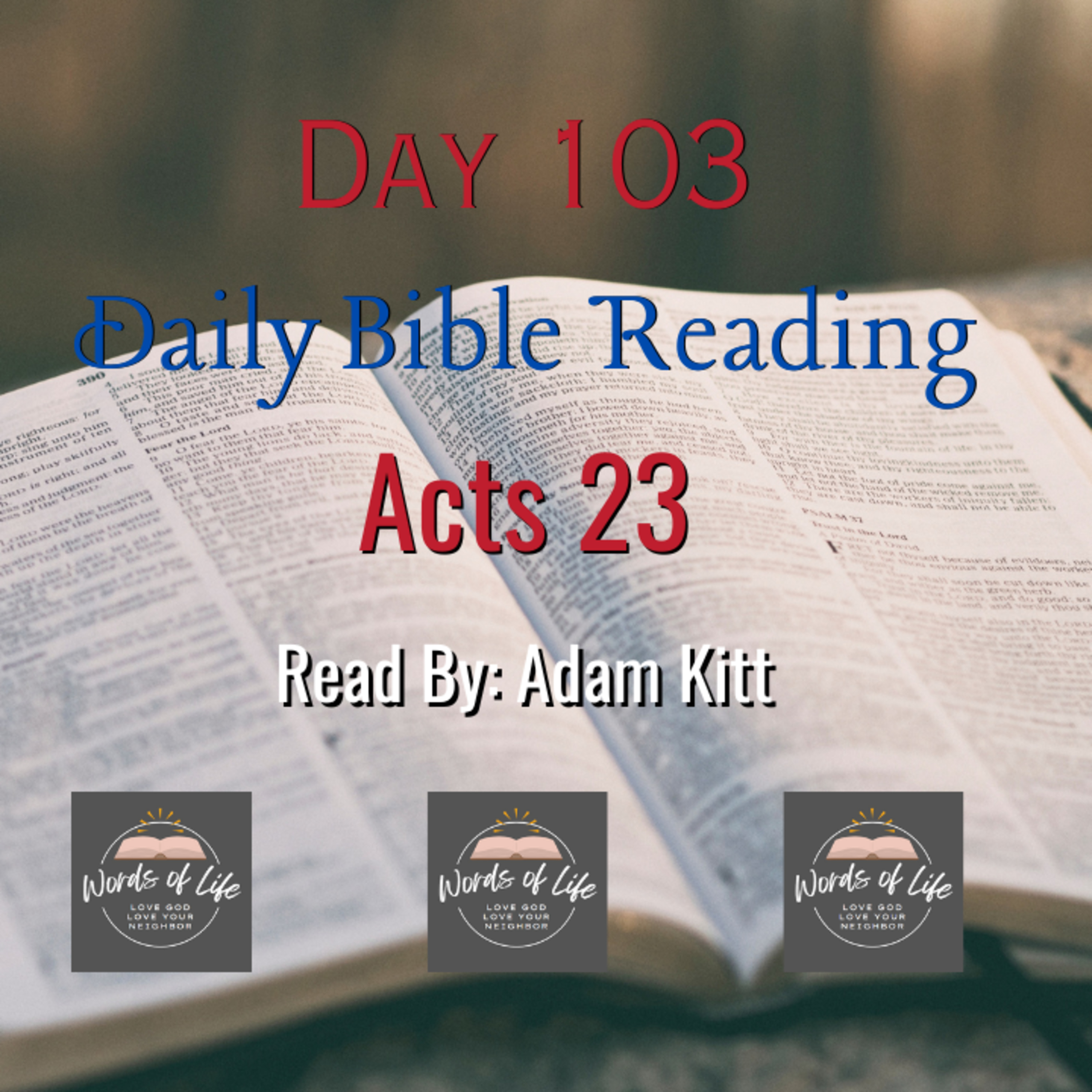 How Do You Stand Strong When Everyone’s Against You? – Day 103 – Daily Bible – Acts 23 episode artwork