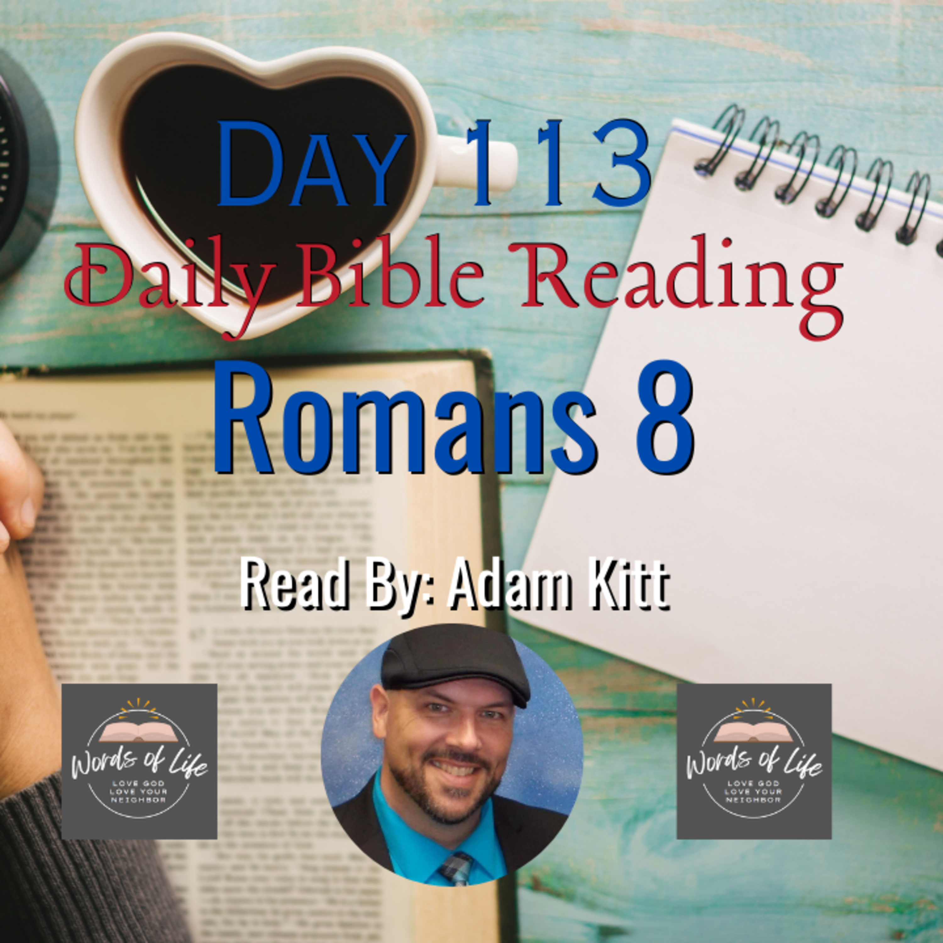 Can Anything Separate Us from God’s Love? Paul Says No! – Day 113 – Daily Bible – Romans 8 episode artwork