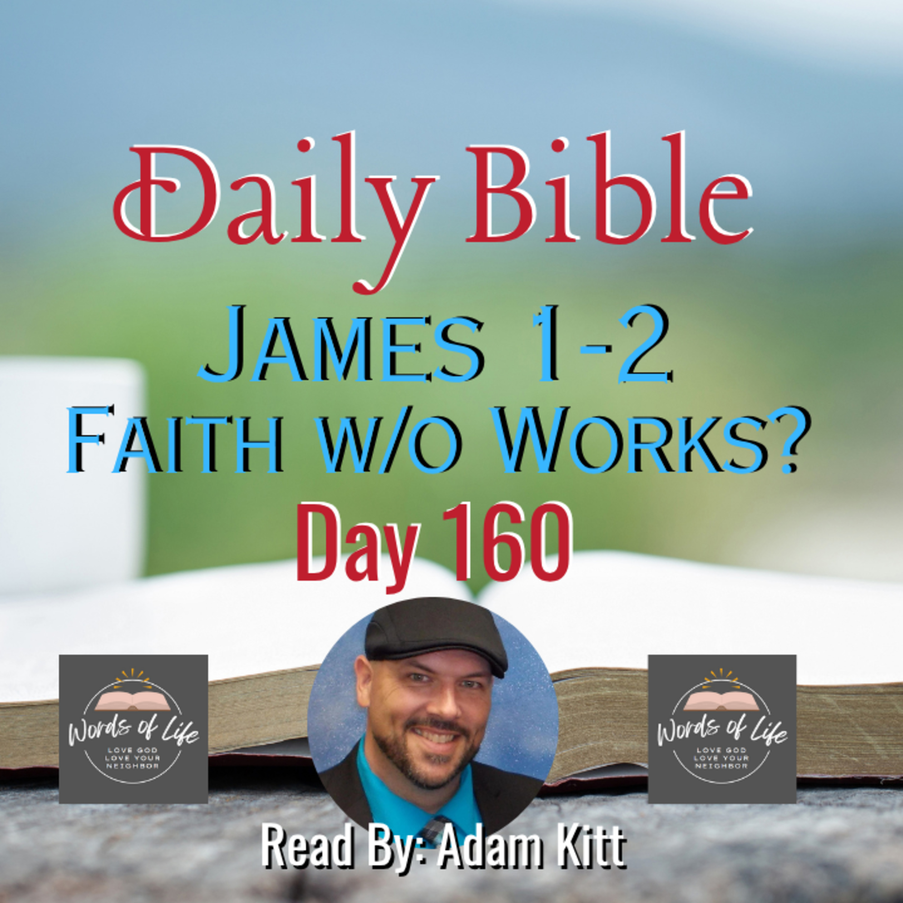 What Good Is Faith Without Works? James Has the Answer – Day 160 – Daily Bible – James 1-2 episode artwork
