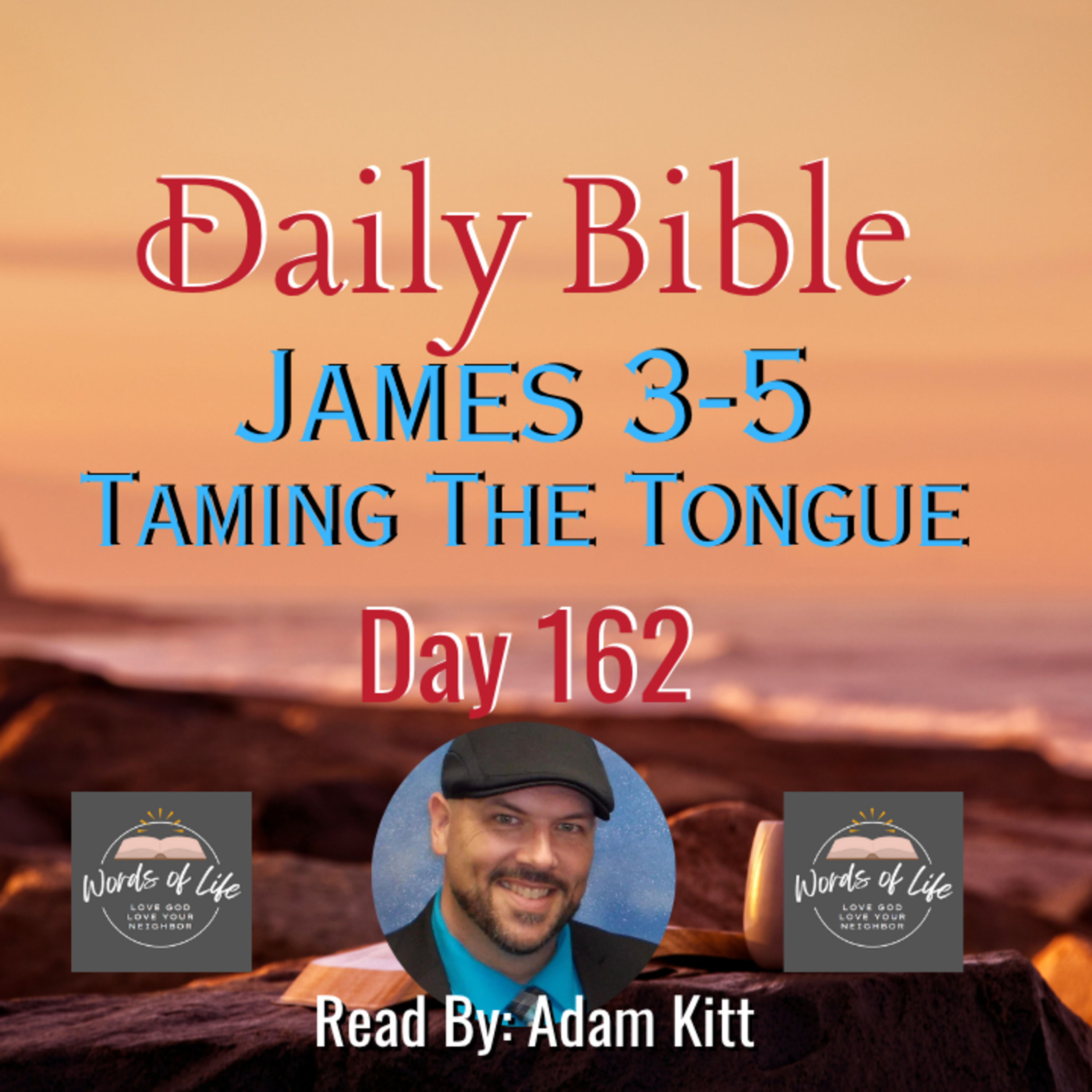 The Tongue That Can Bless or Destroy Everything - Day 162 – Daily Bible – James 3-5 episode artwork