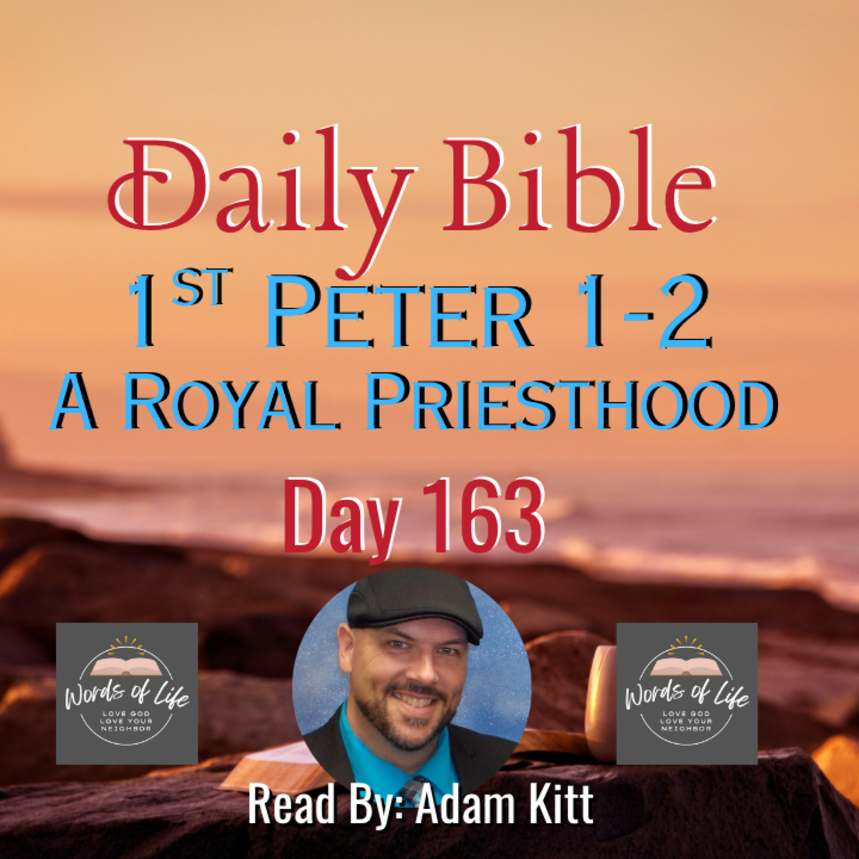 Set Apart. Stand Firm. Shine Bright. – Day 163 – Daily Bible – 1 Peter 1-2 episode artwork