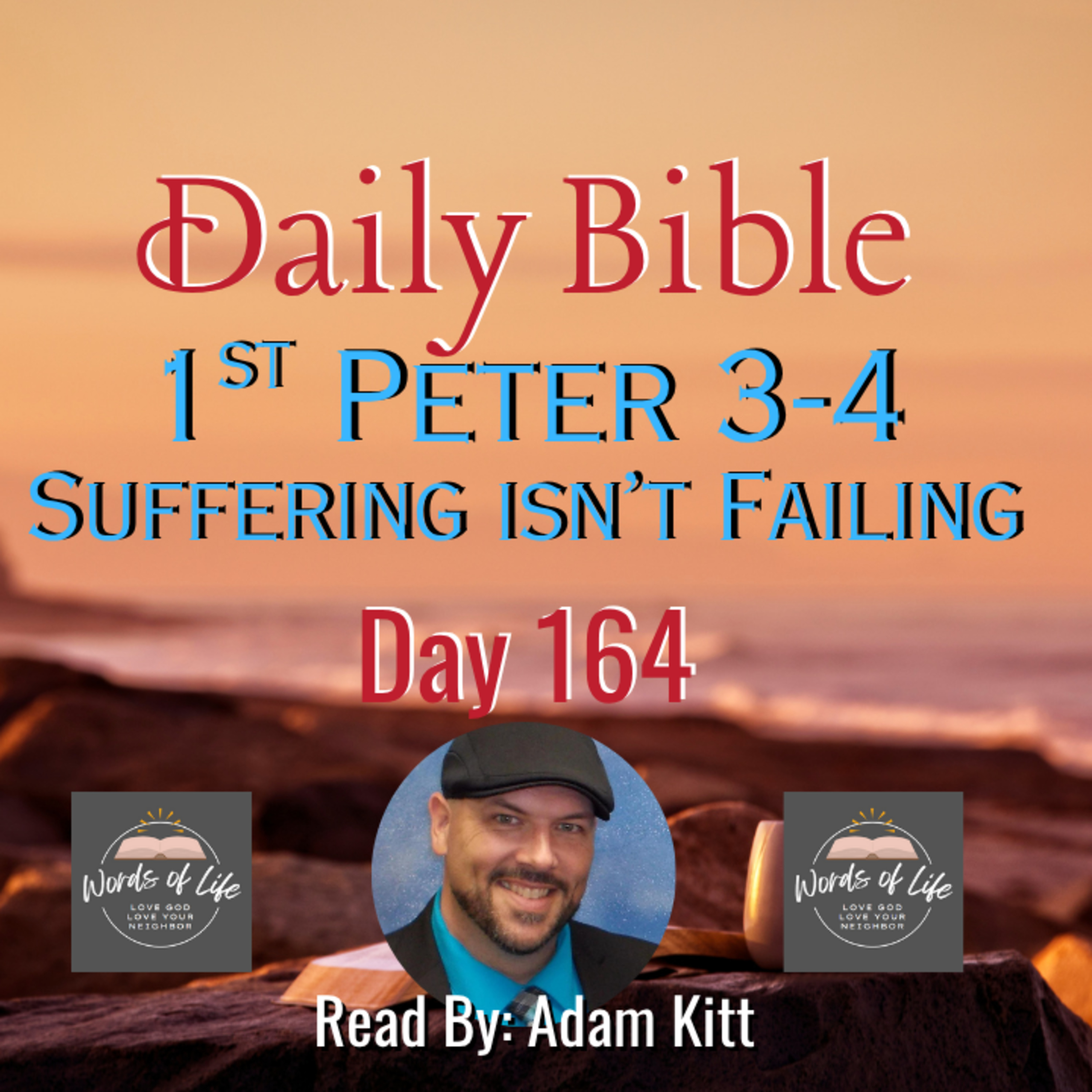 Is It Better to Suffer for Doing Good? Peter Thinks So – Day 164 – Daily Bible – 1 Peter 3-4 episode artwork