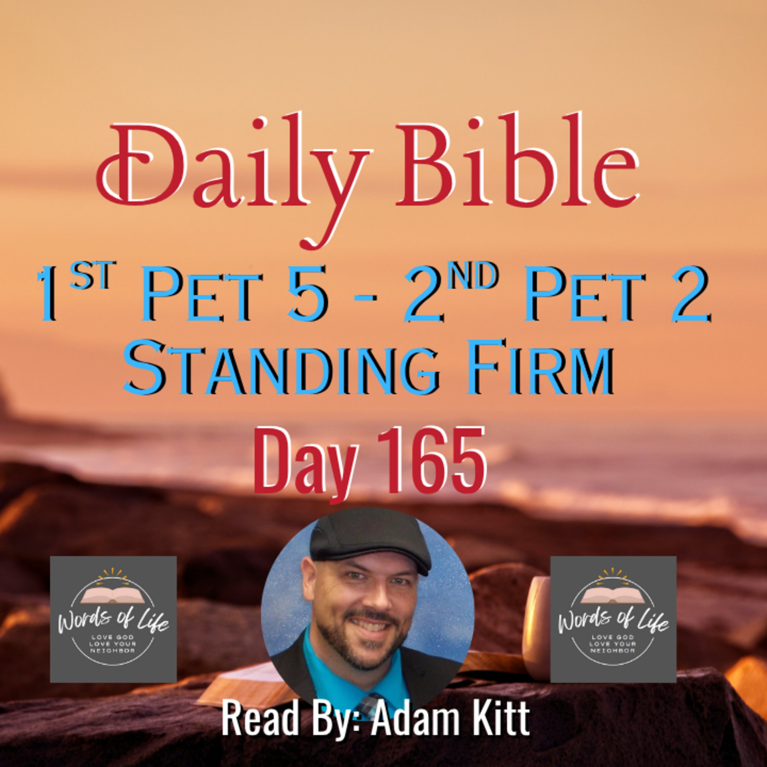 Can You "Stand Firm" When the Devil Attacks? – Day 165 – Daily Bible – 1 Peter 5 – 2 Peter 2 episode artwork